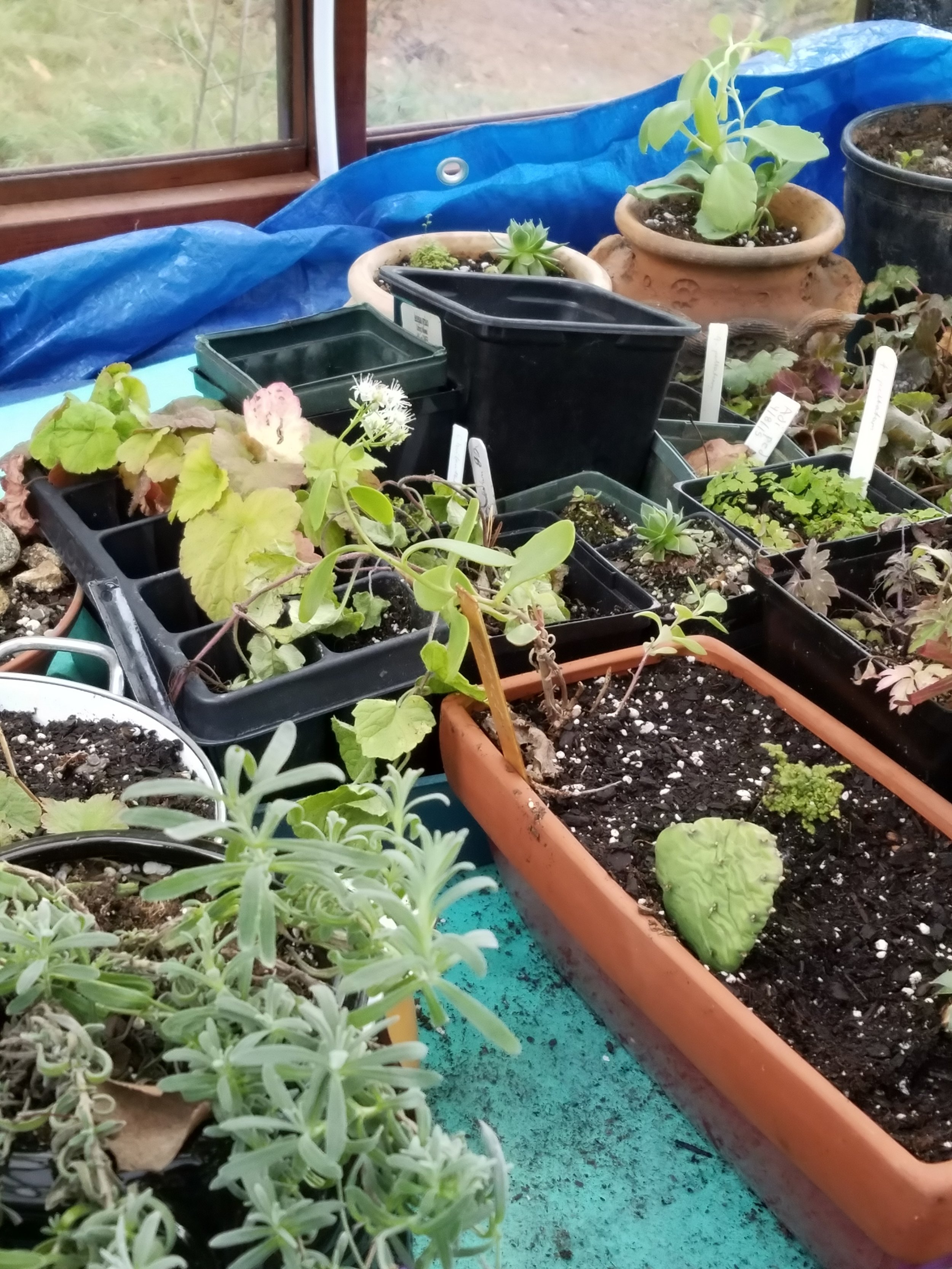 The babies are growing in the nursery!