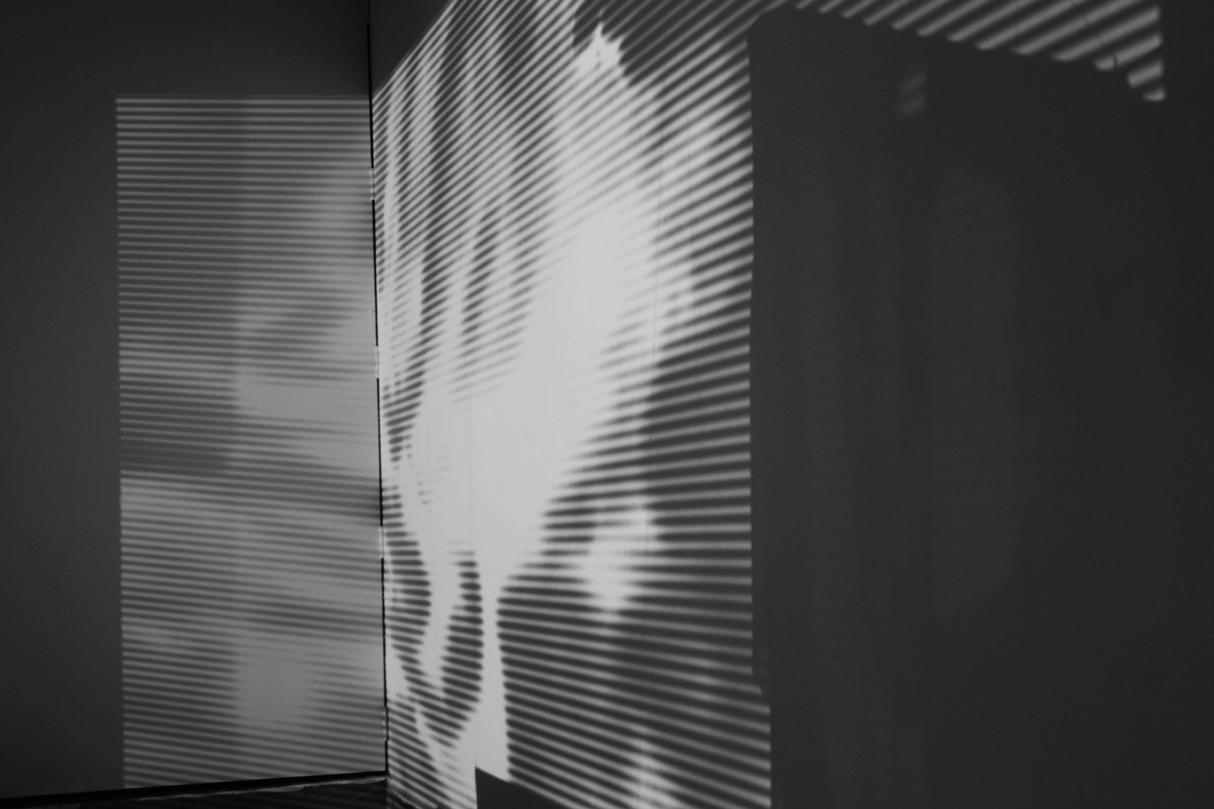 architectonic3.jpg