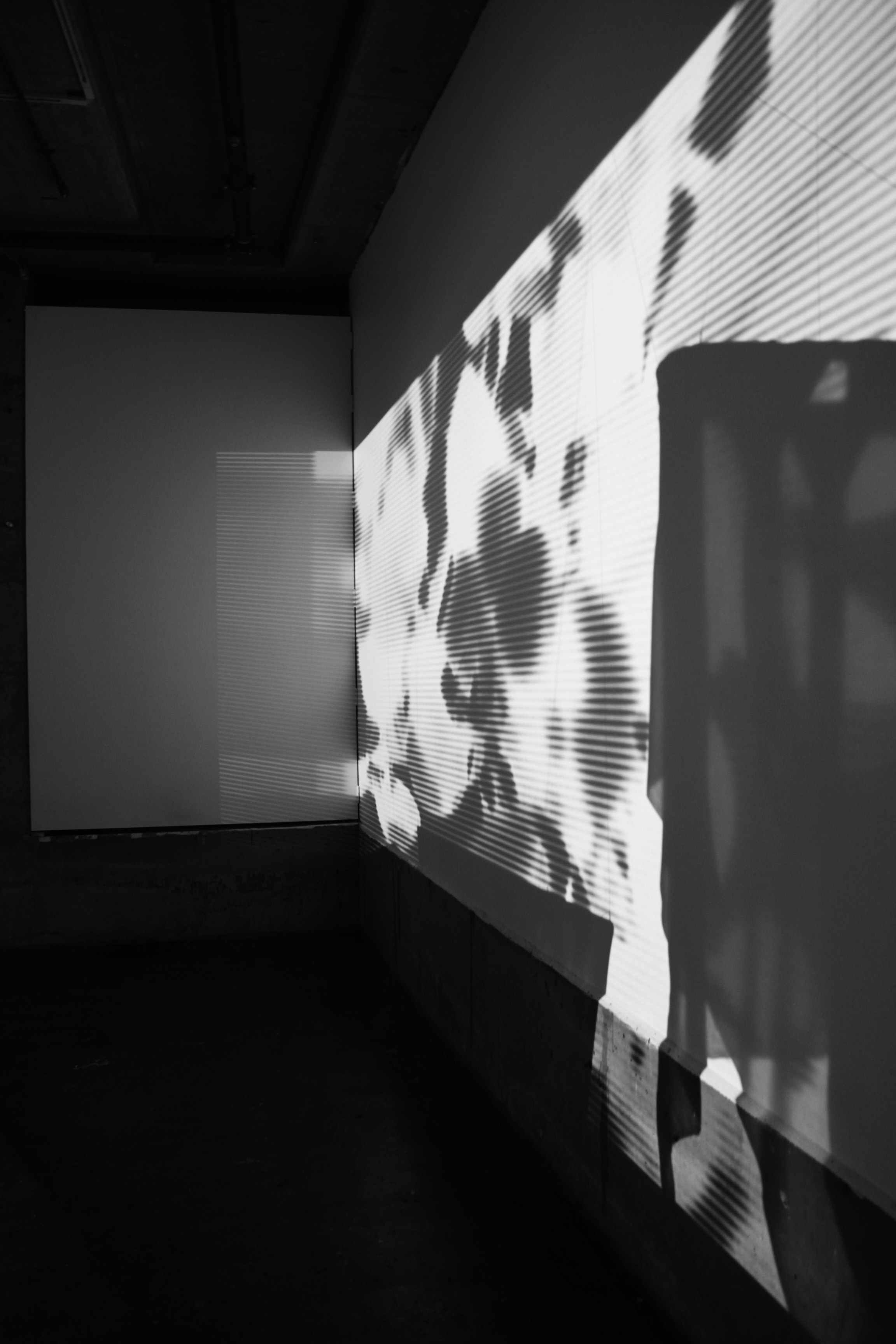 architectonic7.jpg