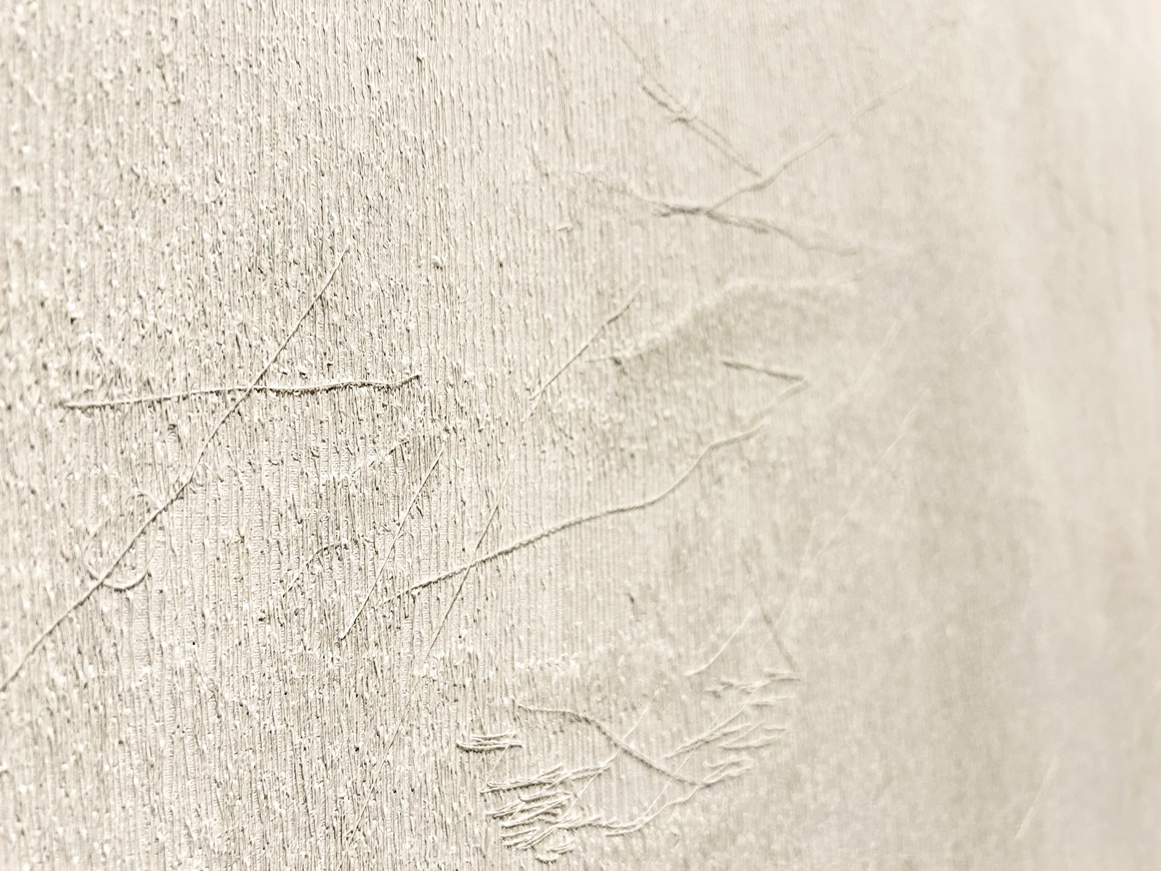 Marking the dust photo 12.jpg