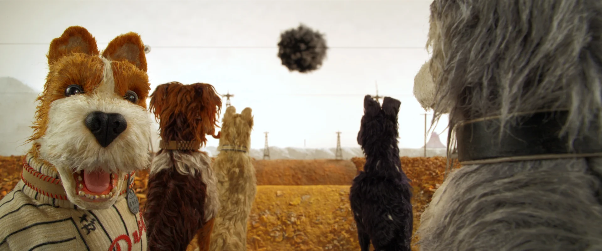 Scene from Isle of Dogs. Courtesy of Fox Searchlight Pictures.