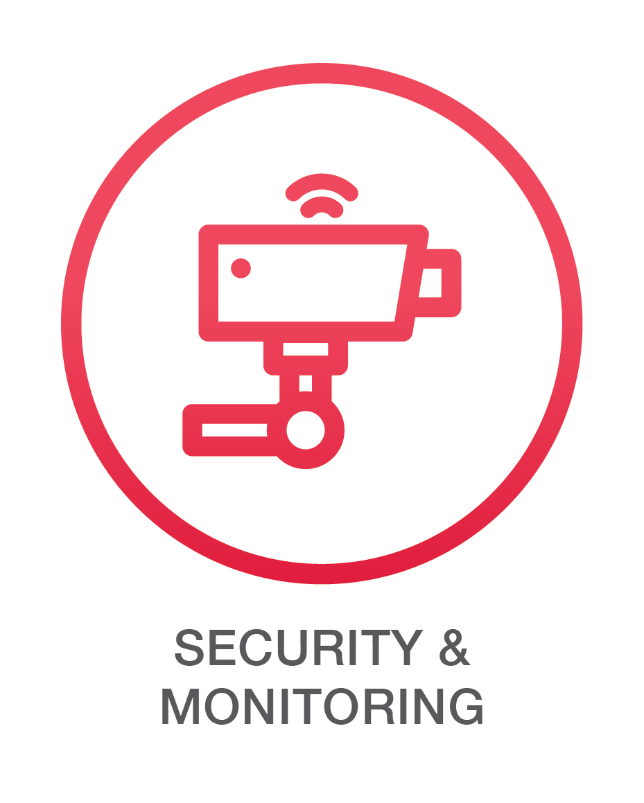 SINGLE SERVICES_security&monitoring.png