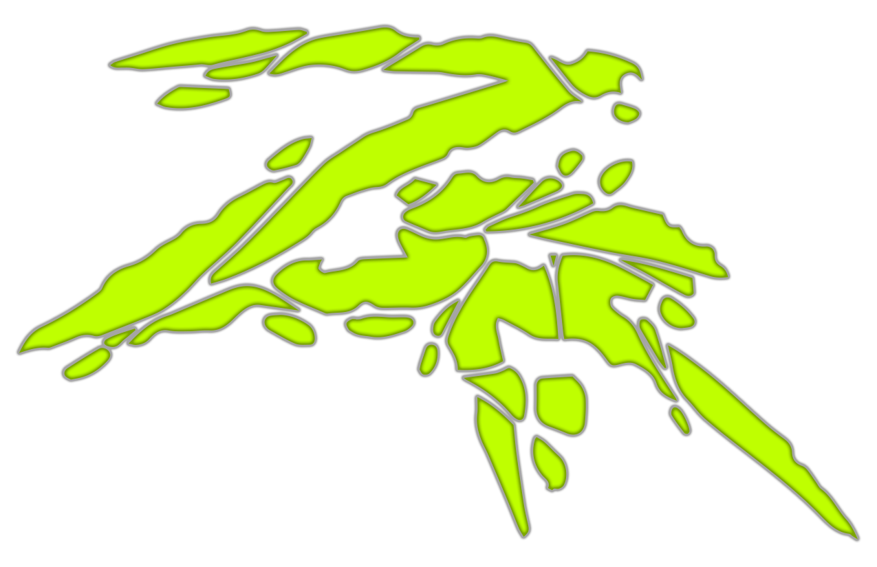 Website ZR.png