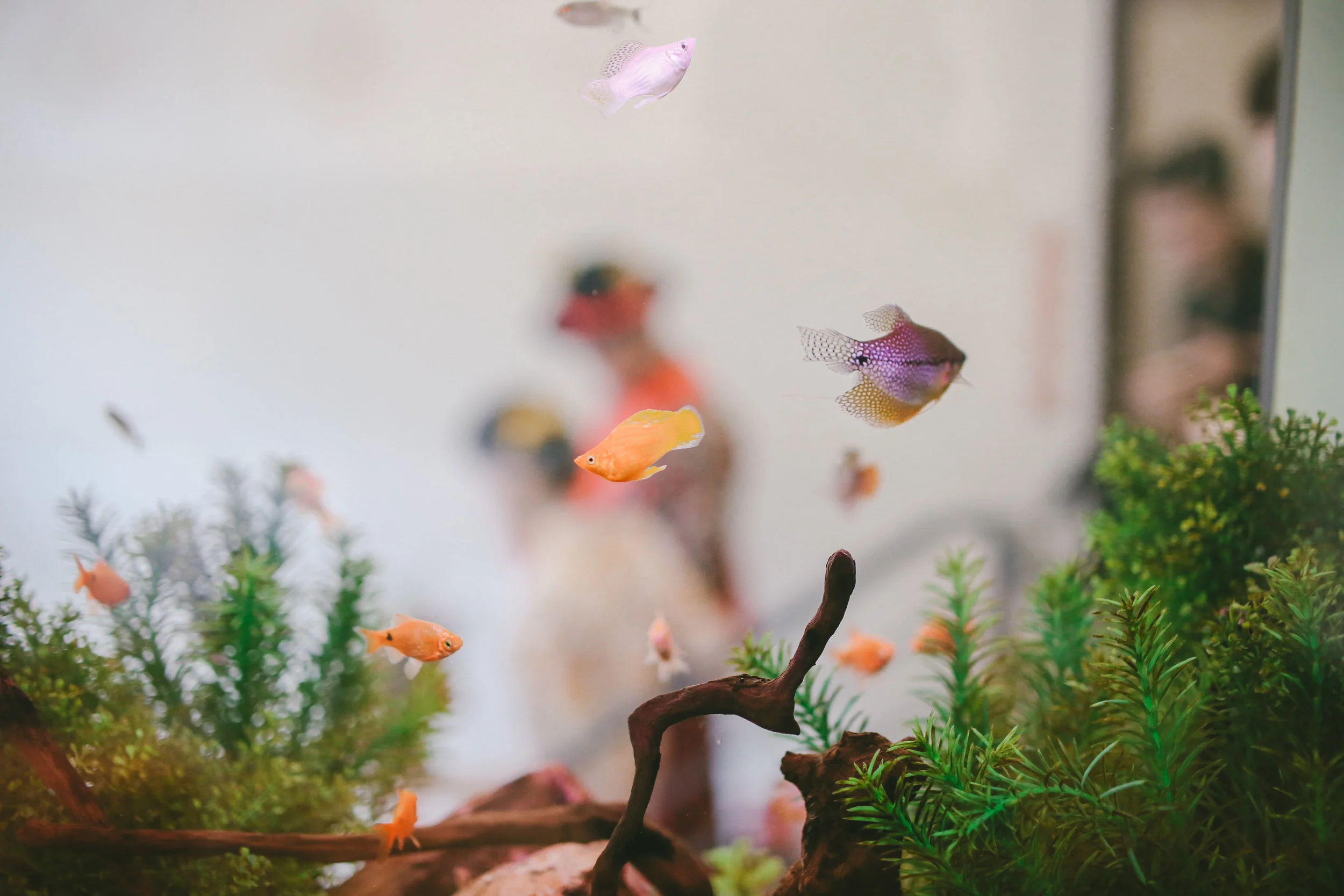 2017-act-wedding-studio-numb9r-CHINESE--SLIDE-145.jpg