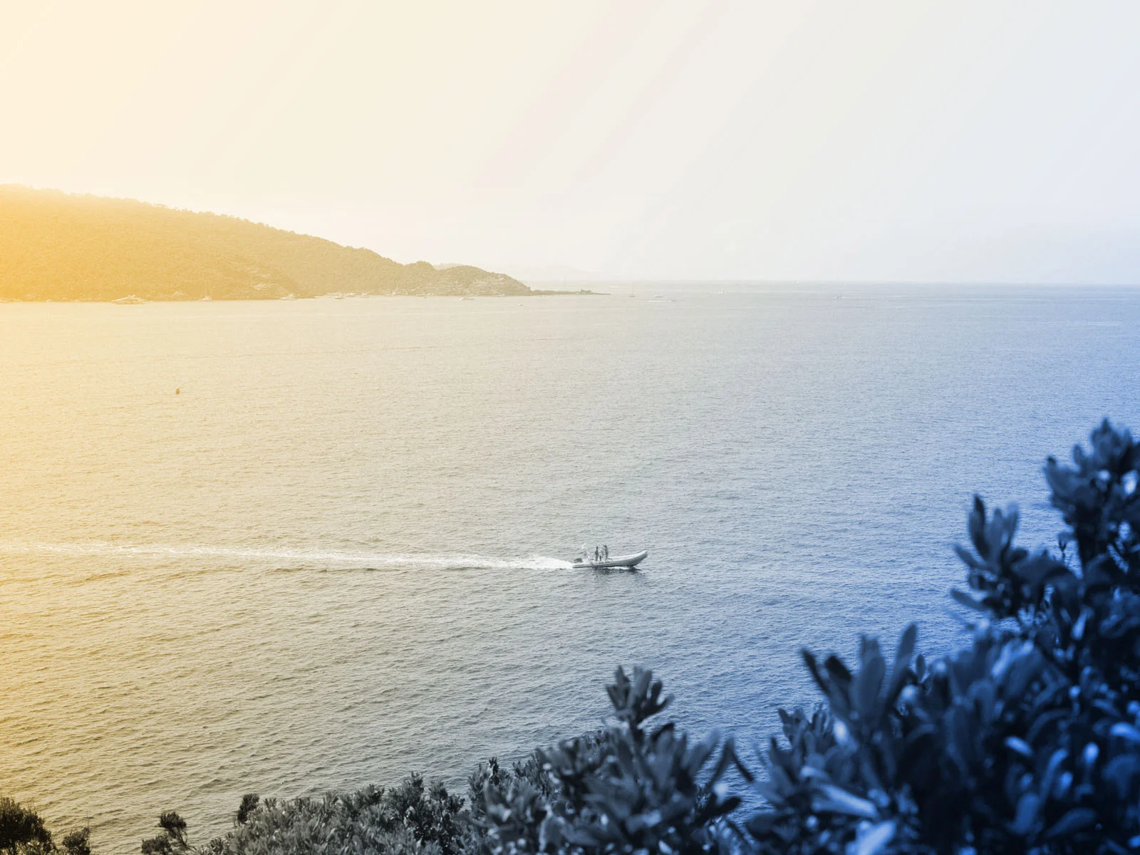 MaRe_Header_01_groß.jpg