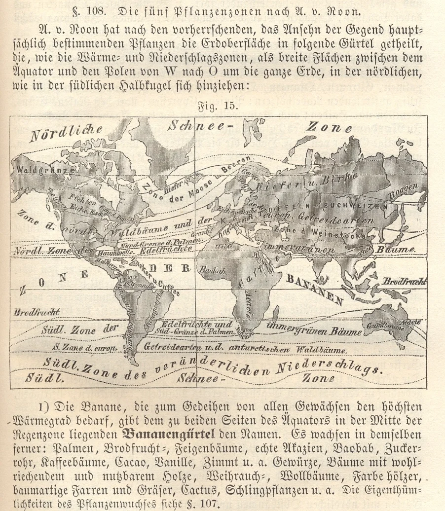 pflanzenzonen2_18620001.jpg