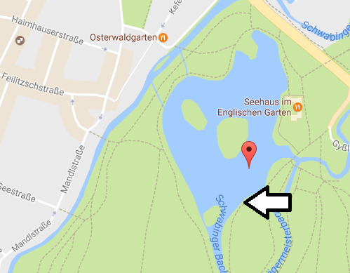 Hier finden Sie Fledermäuse im Englischen Garten