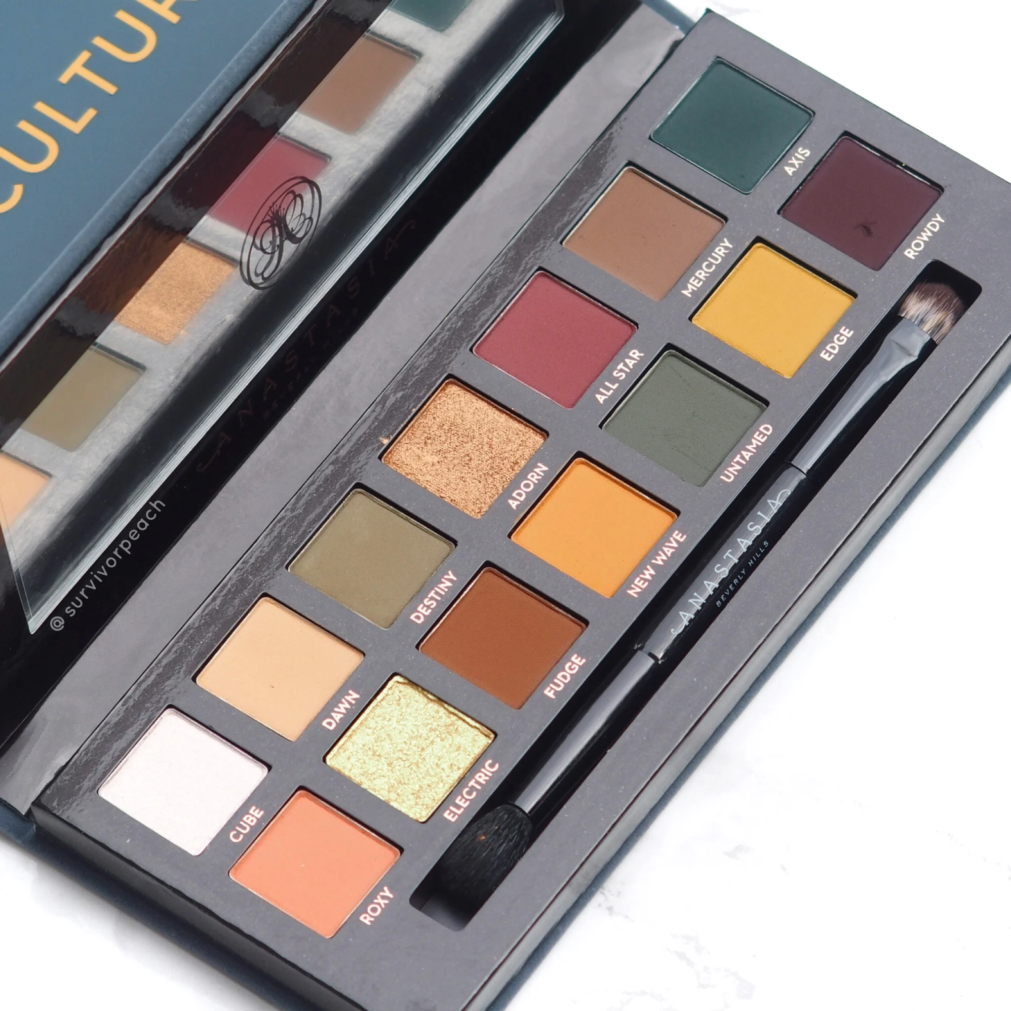 Anastasia Beverly Hills Subculture palette review and swatches 