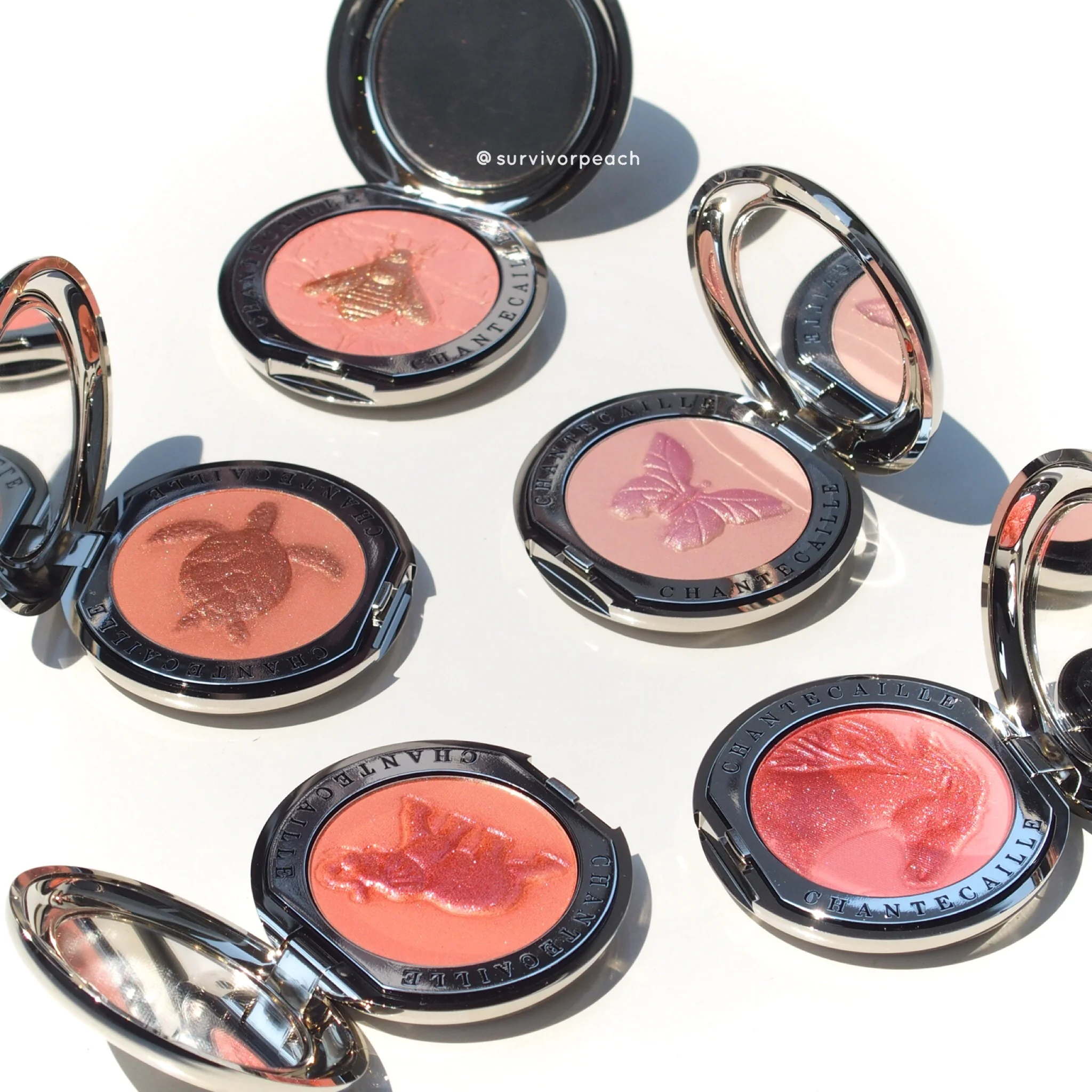 chantecaille bliss blush