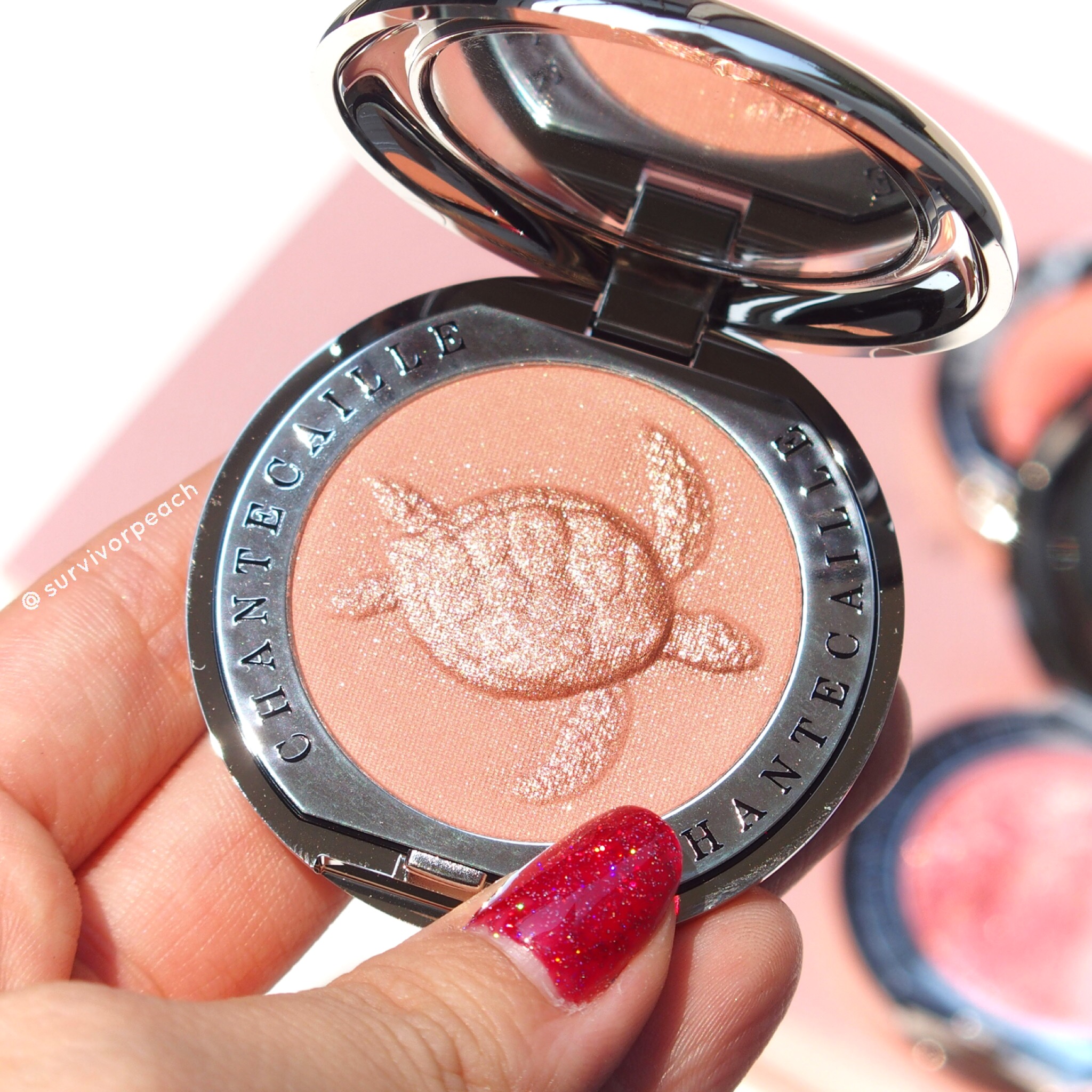 New Chantecaille Blush Cheek shade Emotion with Bee best-selling.