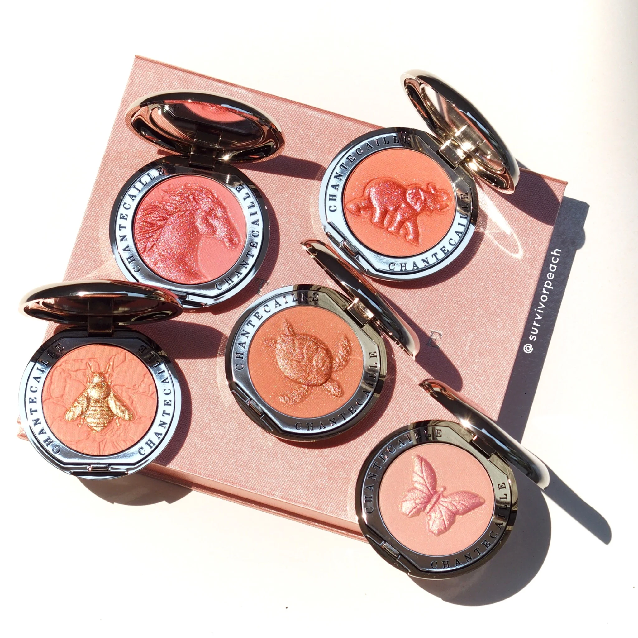 Chantecaille Philanthropy Cheek Shades Review &amp; Swatches