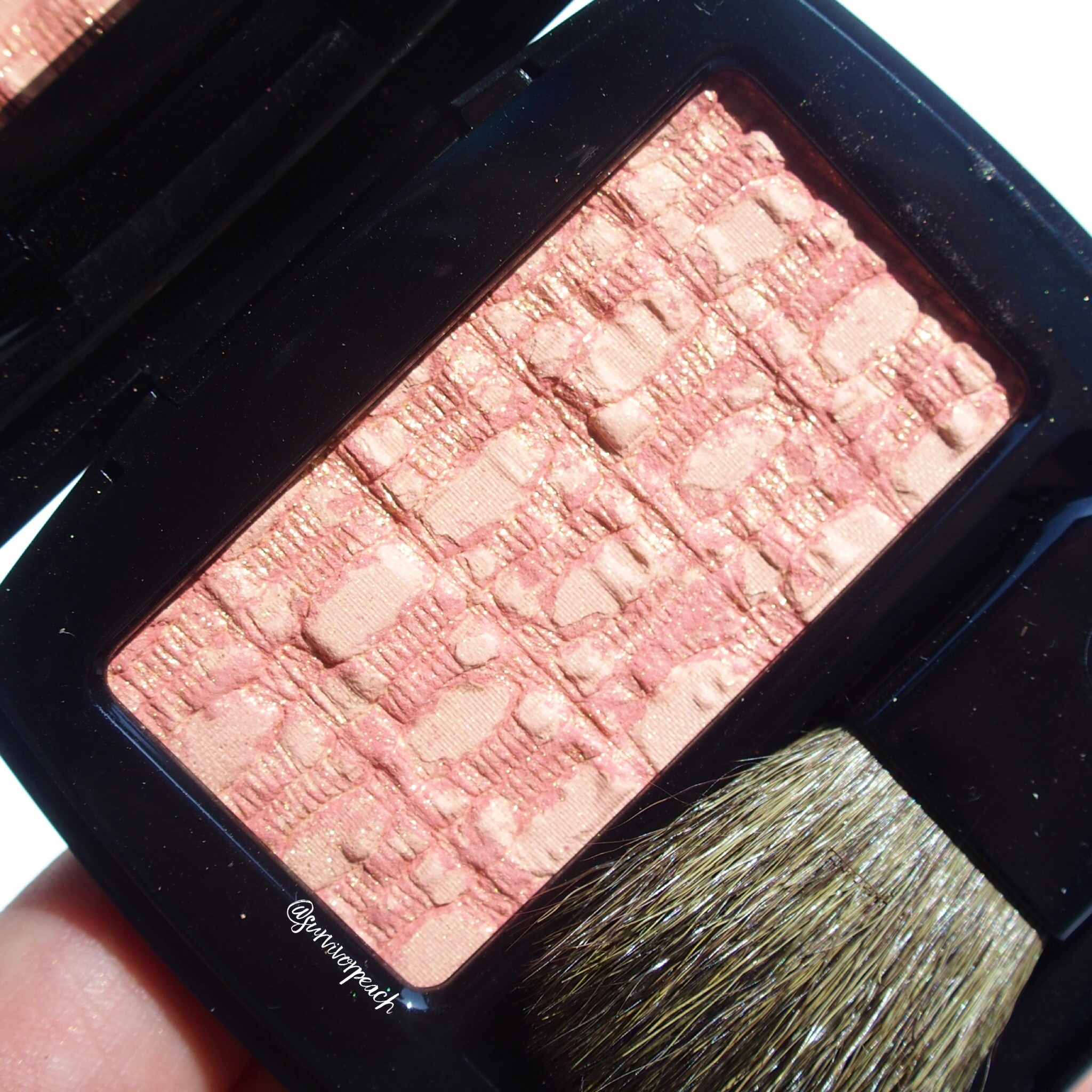 Chanel Coco Gloss: My love for Gloss is back! + Chanel Tweed Coral blush  review — Survivorpeach