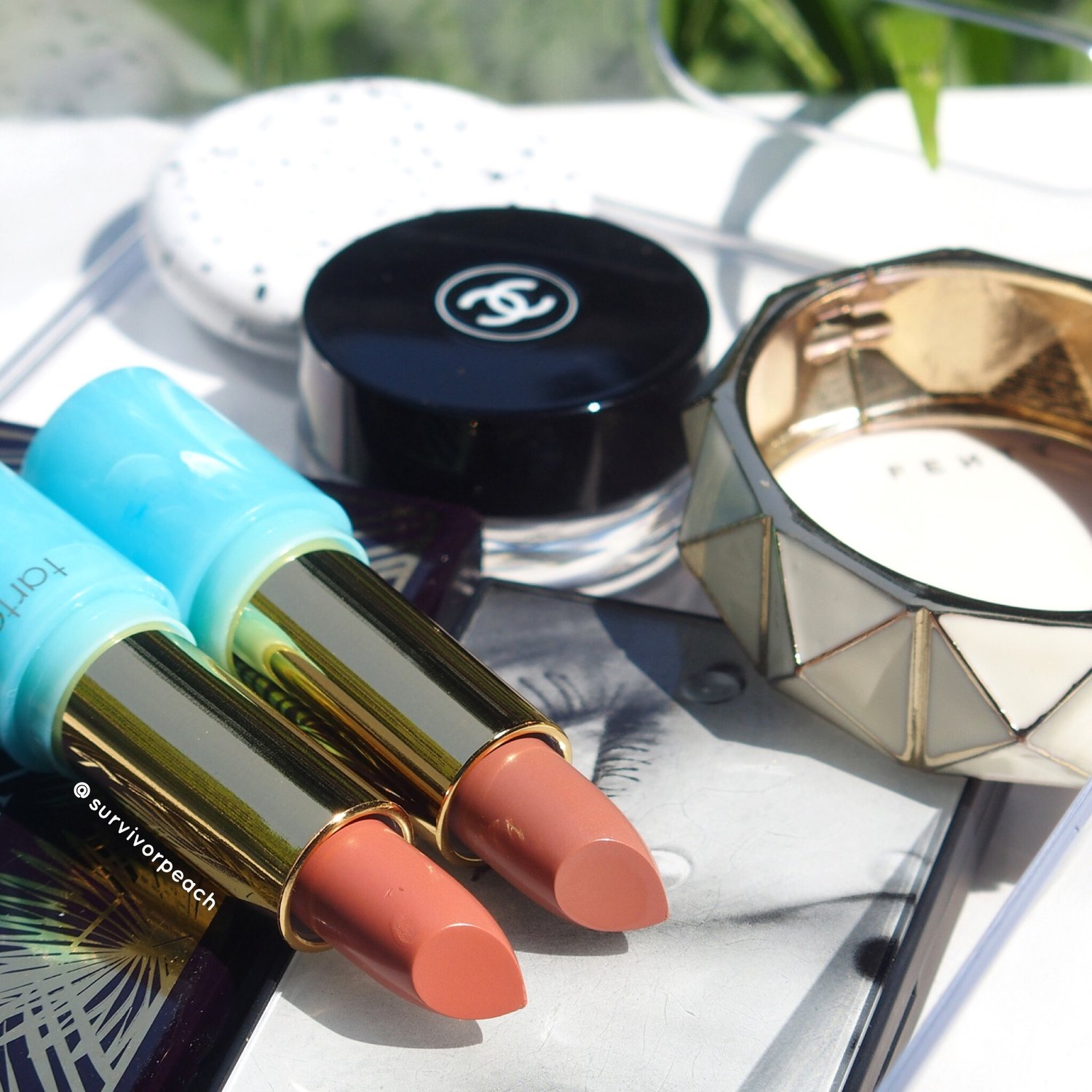 Tarte Rain Forest of the Sea lipsticks and lipbalms reviews and swatches 