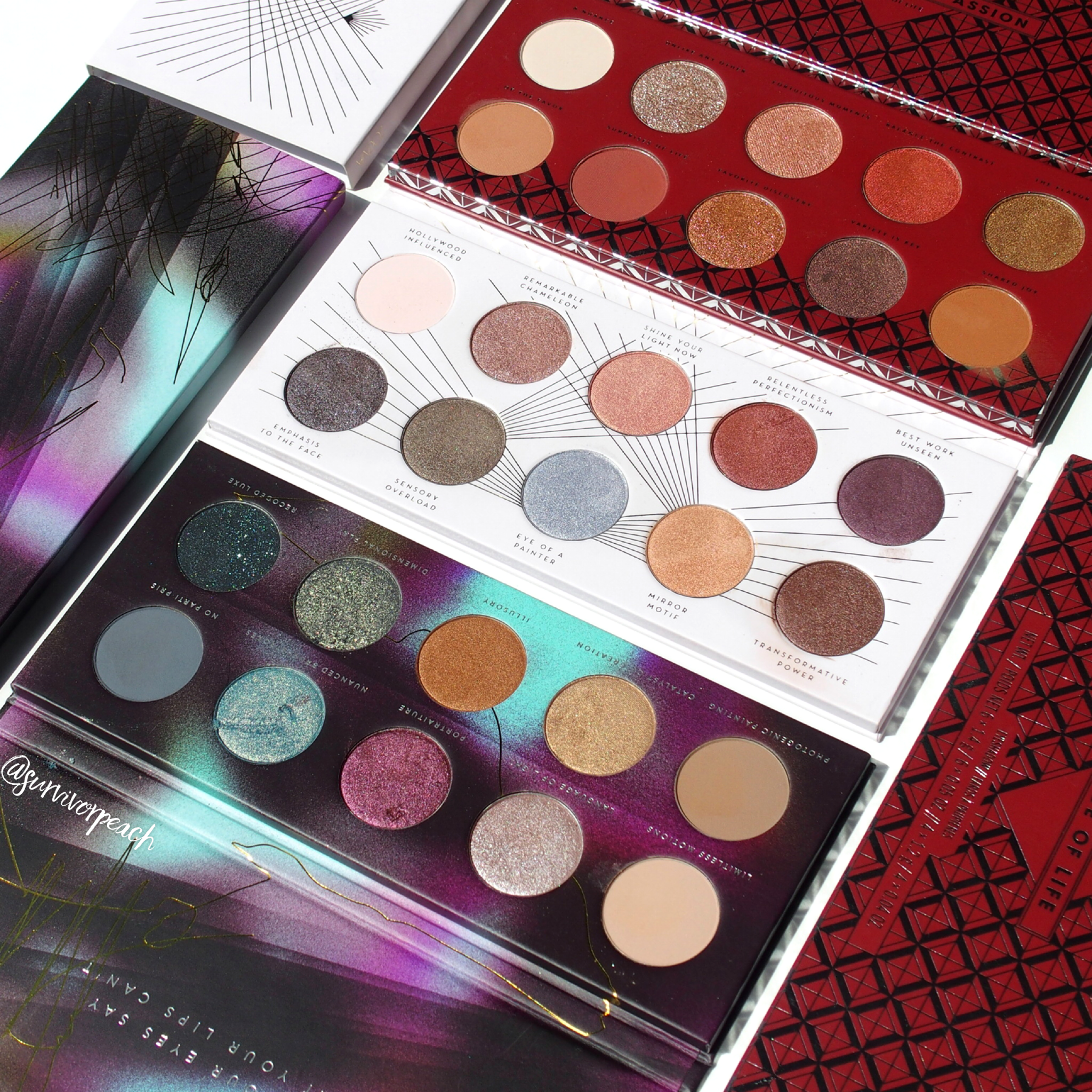 Swatches of all my Zoeva Eyeshadow palettes! : Screen Queen, Eclectric Eyes, Spice of Life