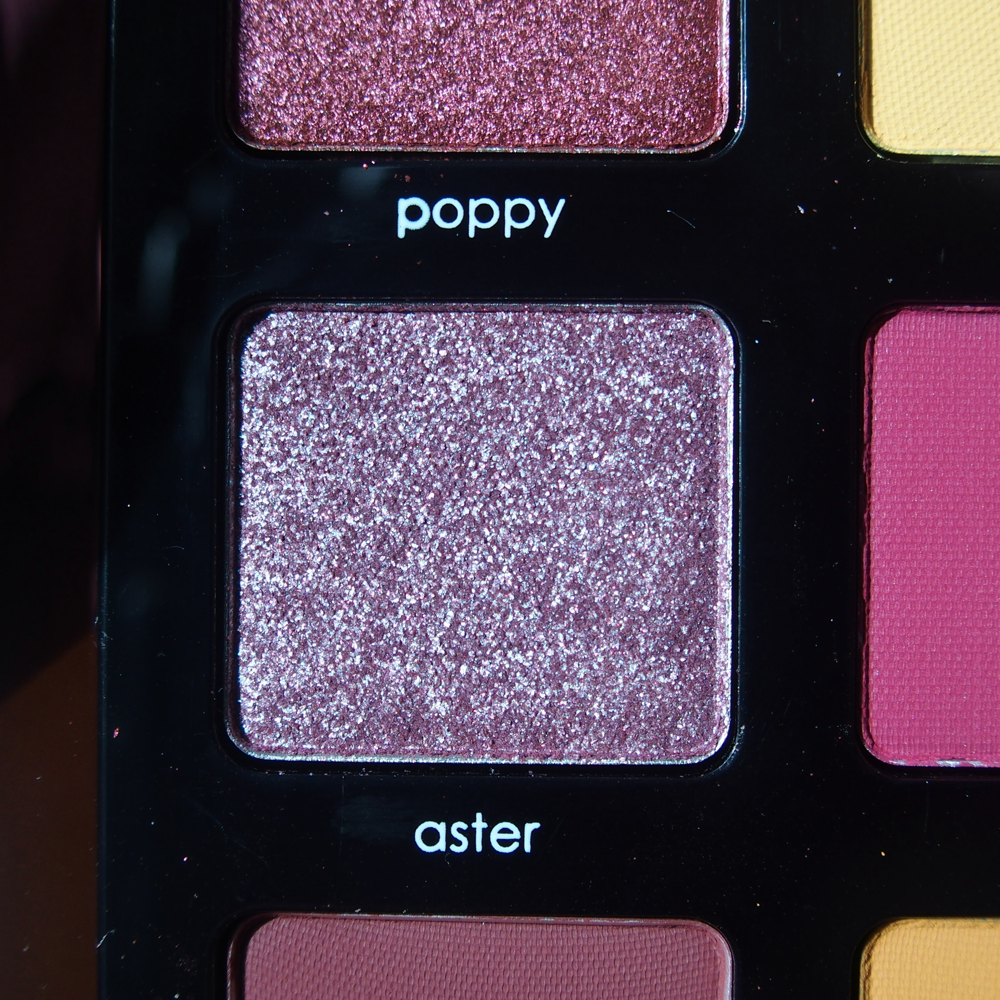 Natasha Denona Sunrise Palette
