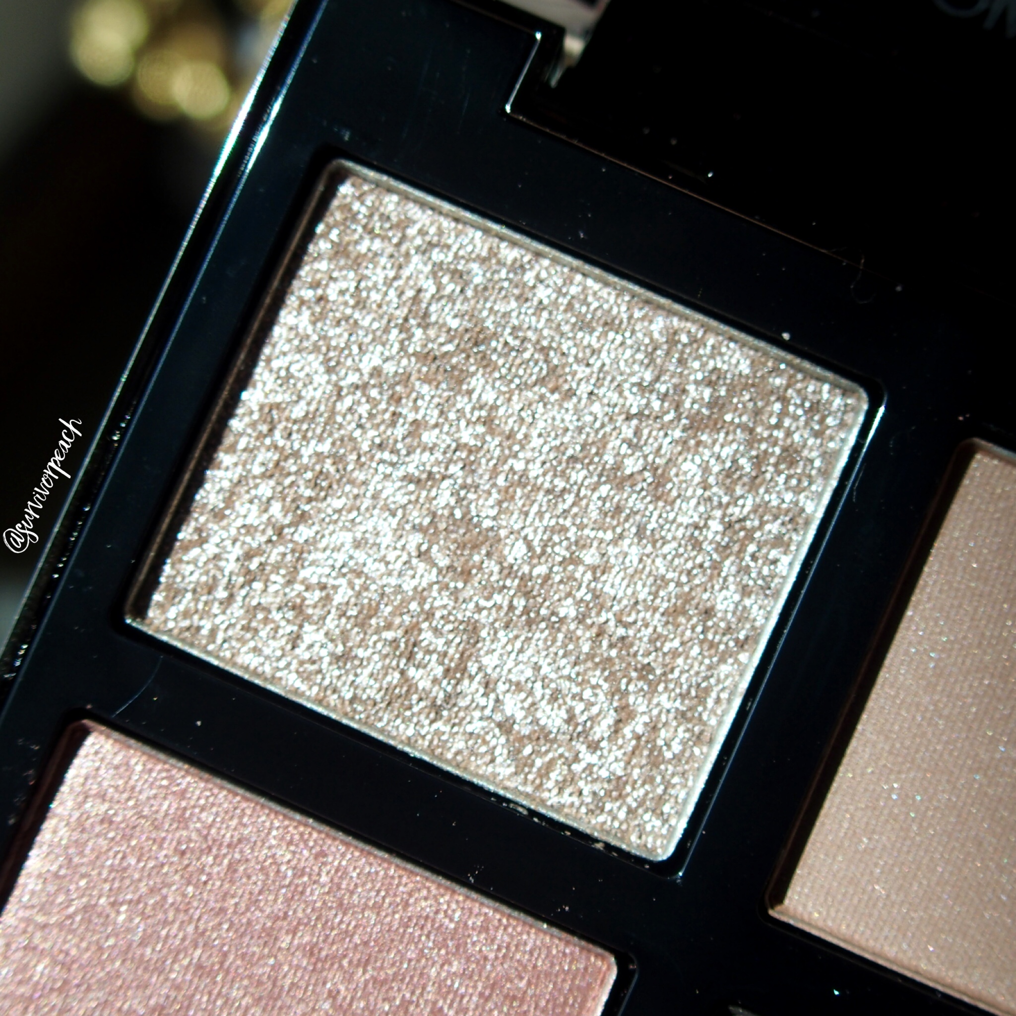 Tomford Beauty Disco Dust & Leopard Sun Eyeshadow Quad Swatches —  Survivorpeach
