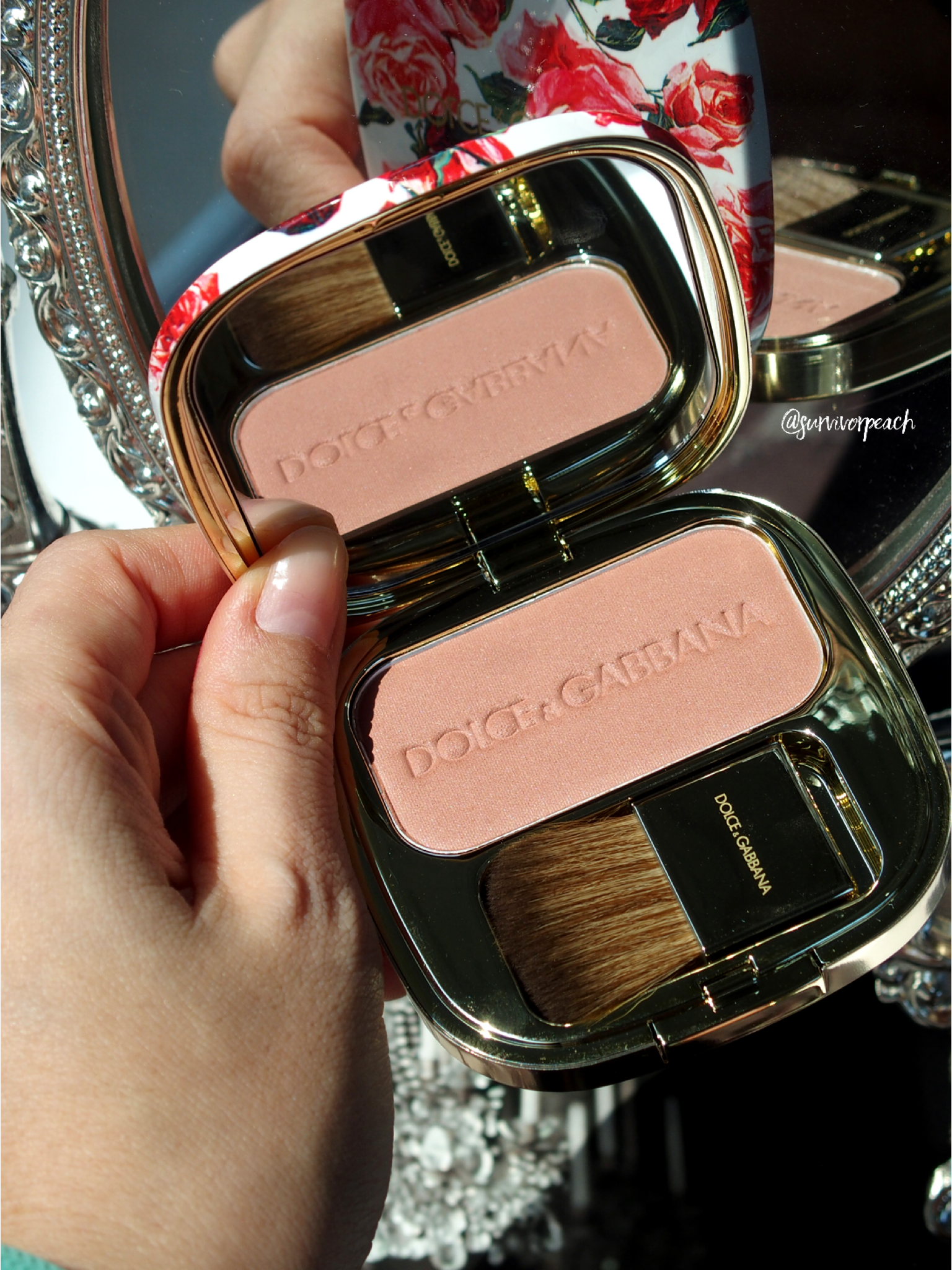 dolce and gabbana blush of roses