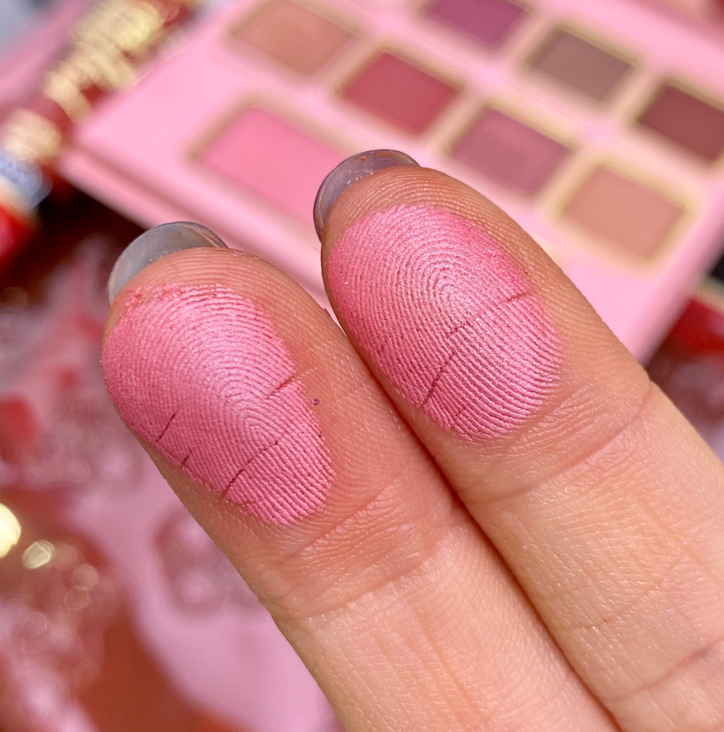 Toofaced Cinnamon Bear Makeup Set - Eyeshadow Palette Swatches