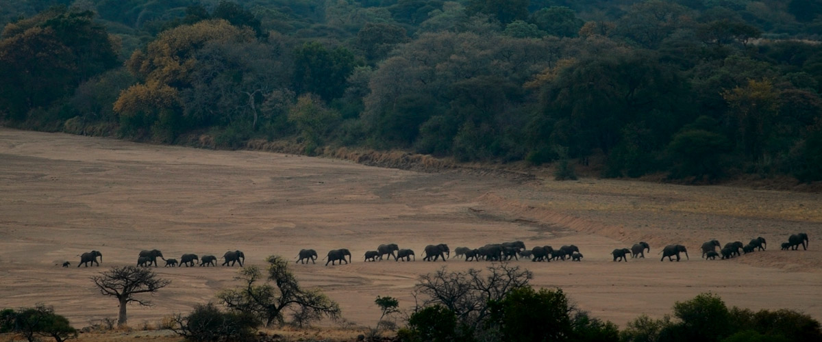  South Africa needs more environmental leaders 