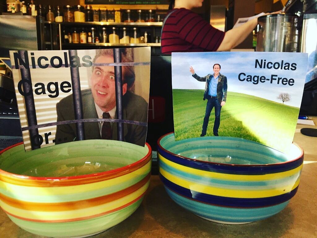 To cage Nick or not...the all-knowing tip jar answers the most important questions of our time. @nicholascagetravels #torontocafe #torontolife #coffeeshop #tips