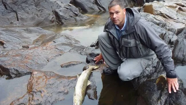 Effektkjøring gir brå endringer i vannstand. Laks vandrer opp ved høy vannstand og strander og dør når vannet forsvinner. Foto: Save the Baltic salmon