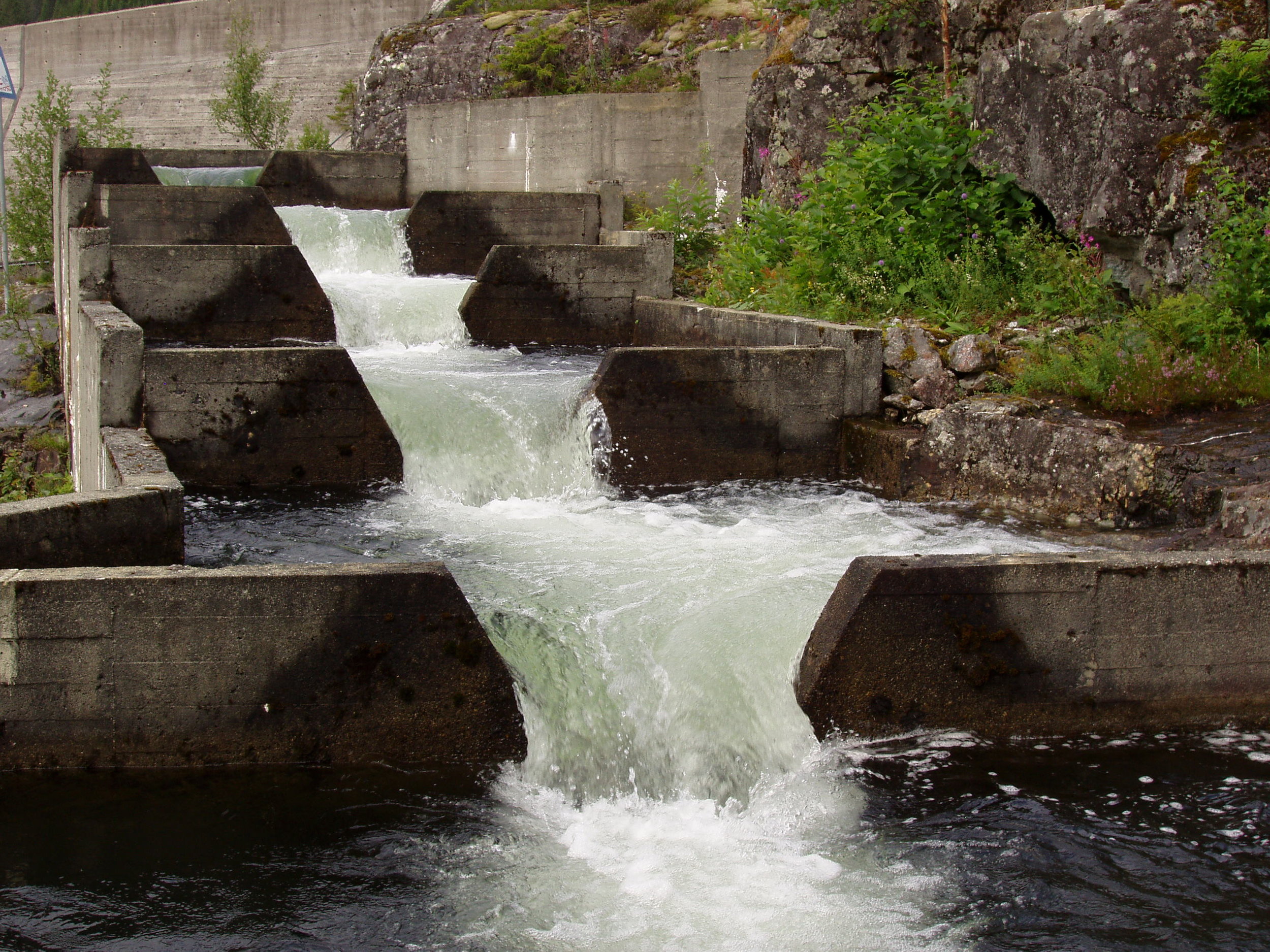 Lakseakvariet Fiskumfo077_Foto_Eva_Thorstad.JPG