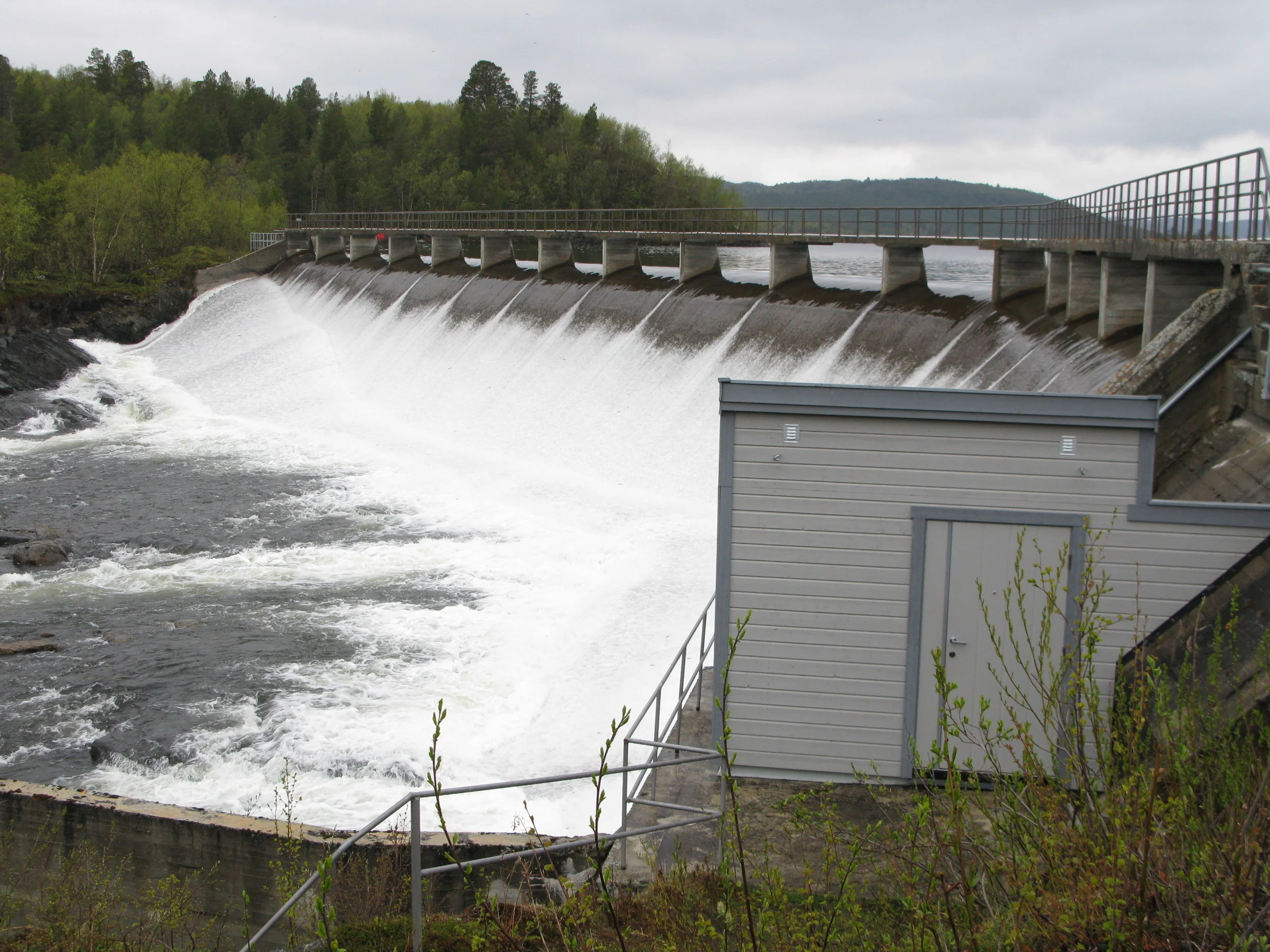 Lakselvvassdraget (2)_Foto_Eva_Thorstad.JPG