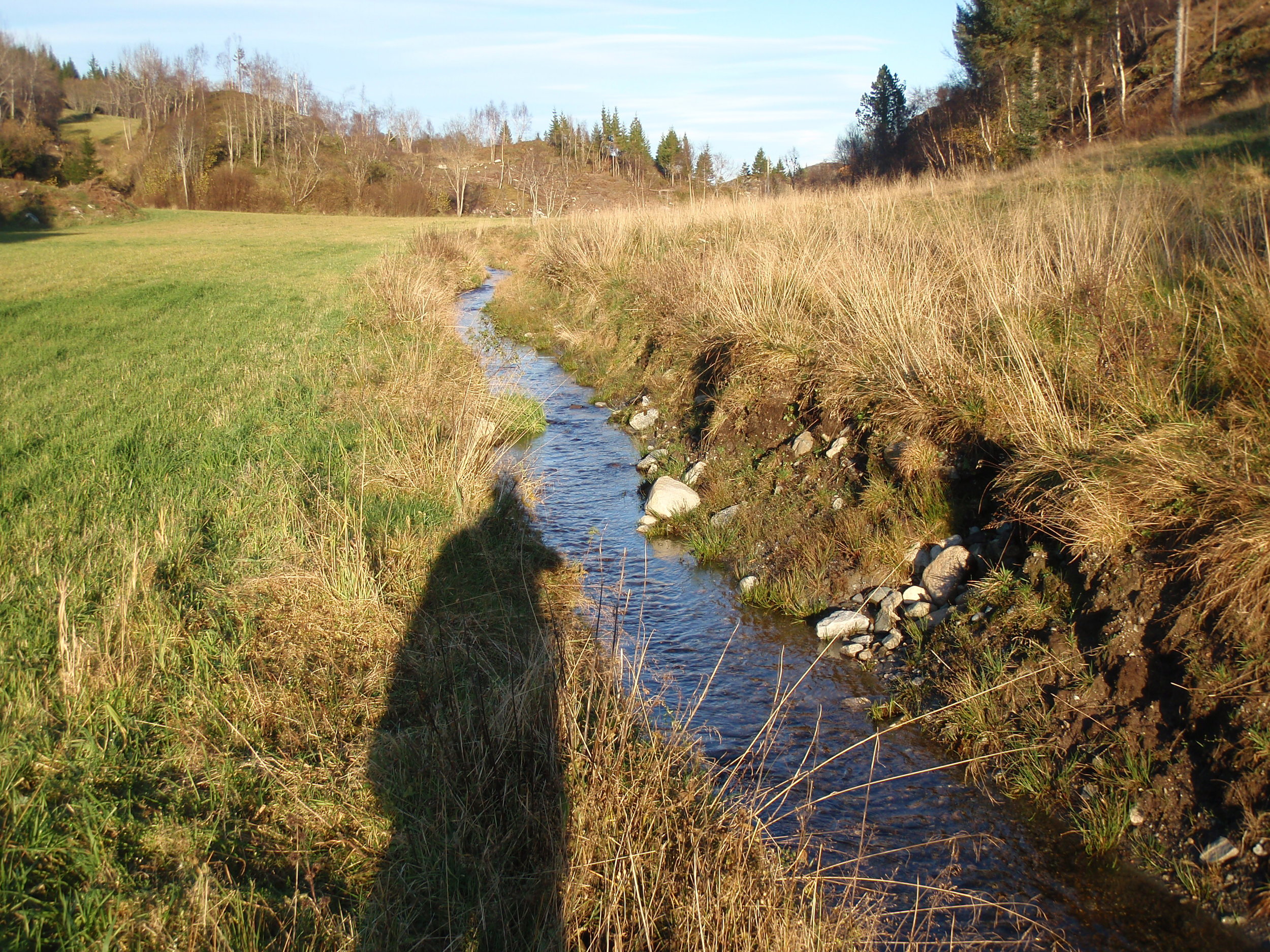 Figur 3_Foto_Morten_Andre_Bergan.JPG