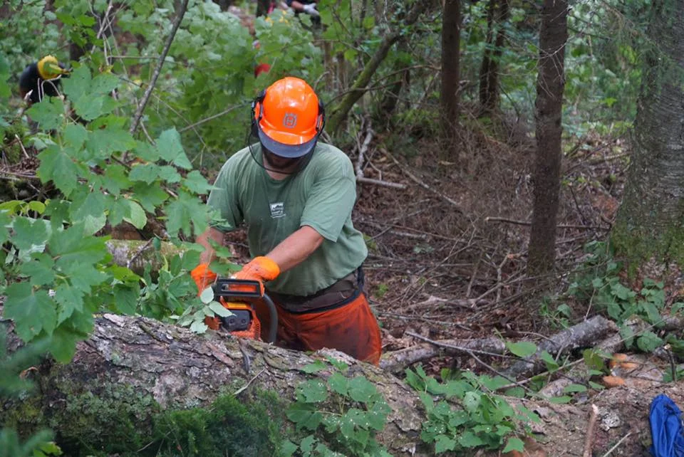 gba_chainsaw.jpg