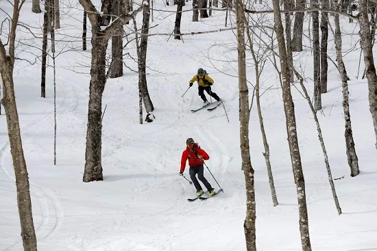 bc_ski_pic3.jpg