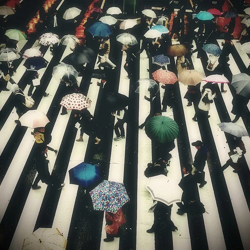 Crosswalk in Full Bloom by Mutablend