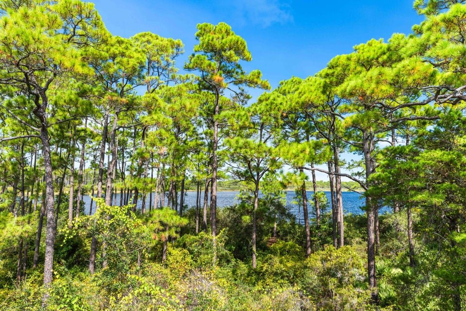 Four Mile Village - 211 Twisted Pine Trail - 44.jpg