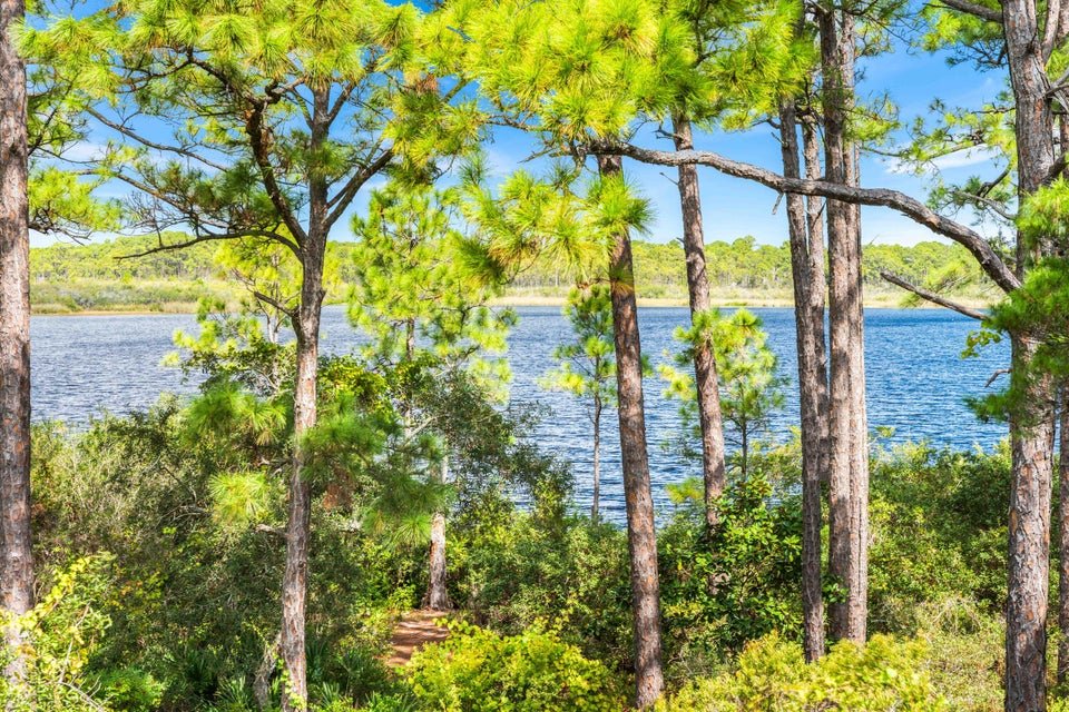 Four Mile Village - 211 Twisted Pine Trail - 45.jpg