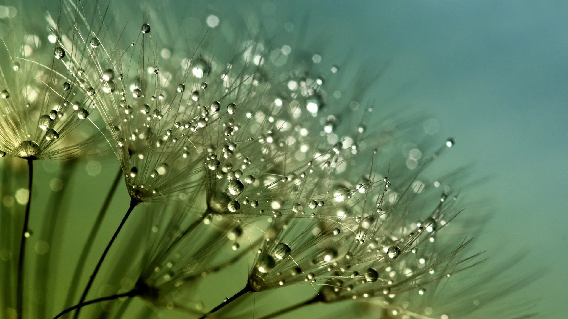 Imagen de gratuita de unsplash