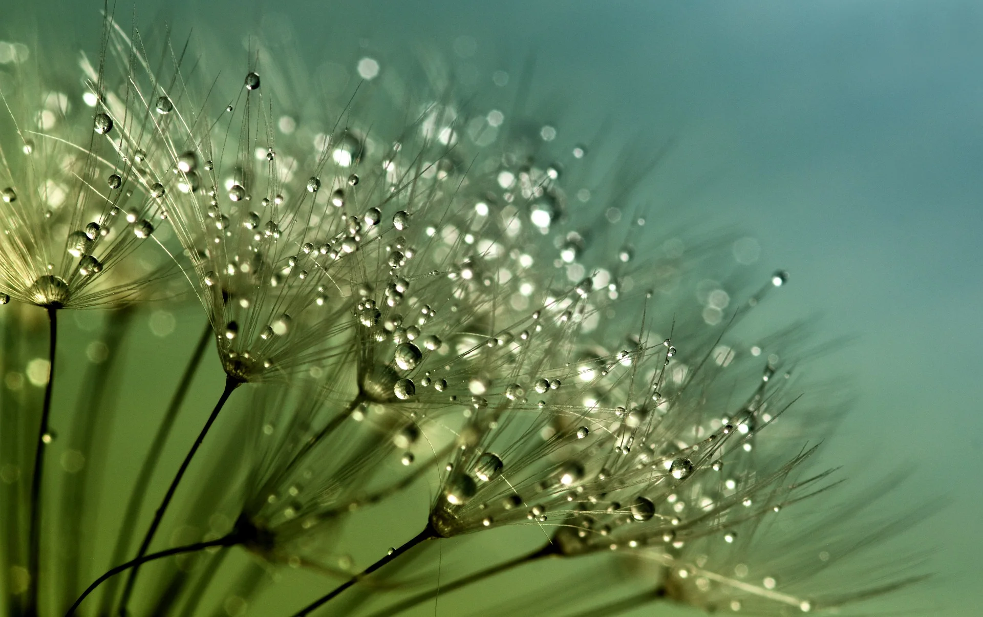 Imagen de gratuita de unsplash