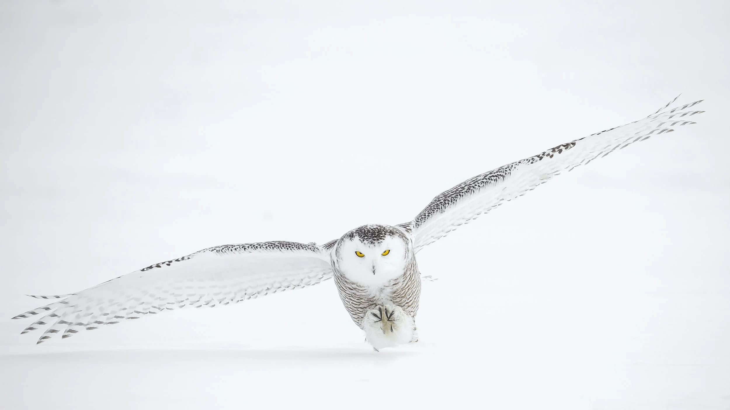 Thanks to Todd Steitle for making this photo available freely on @unsplash 🎁