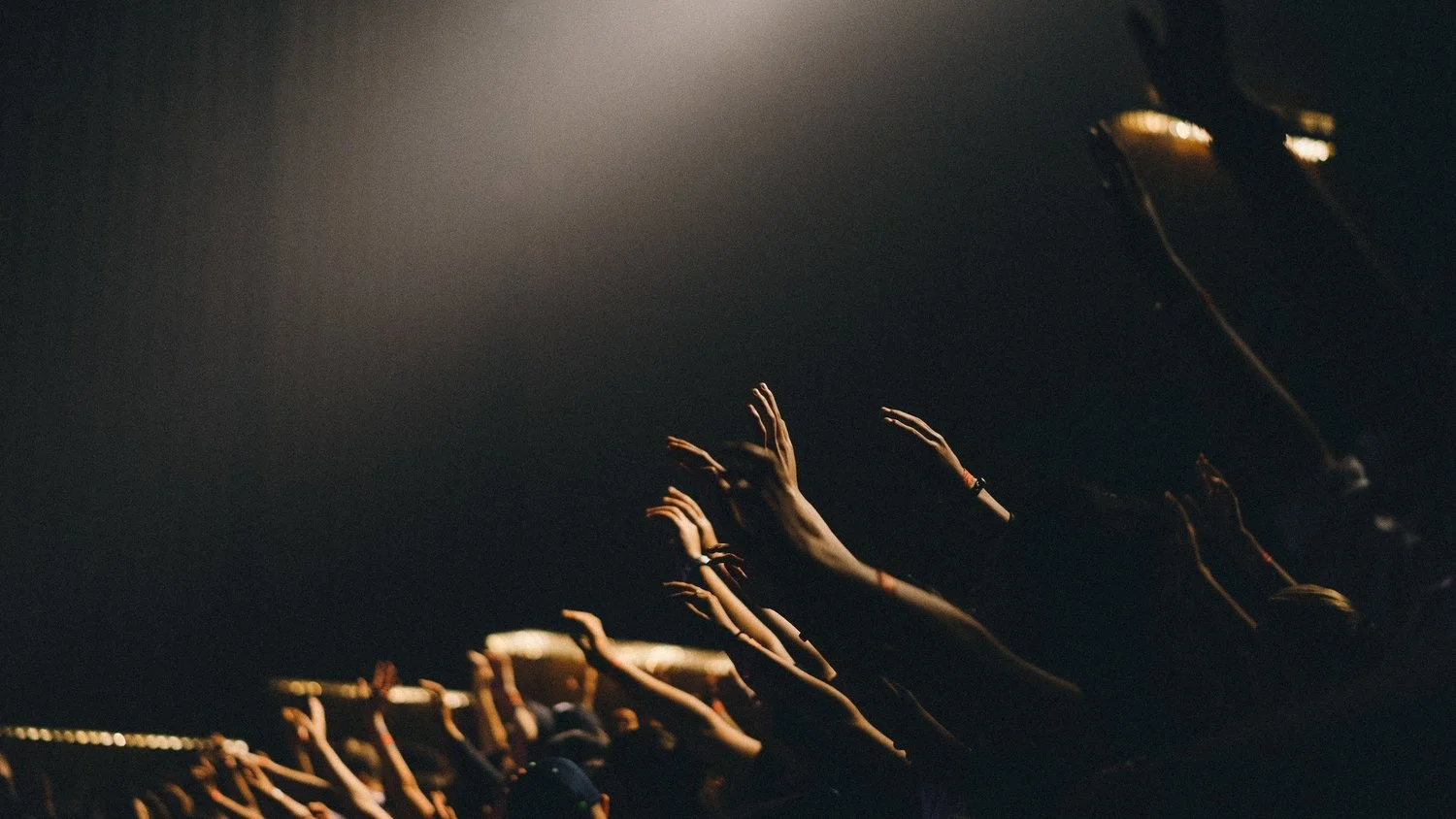Thanks to Edwin Andrade for making this photo available freely on @unsplash 🎁
