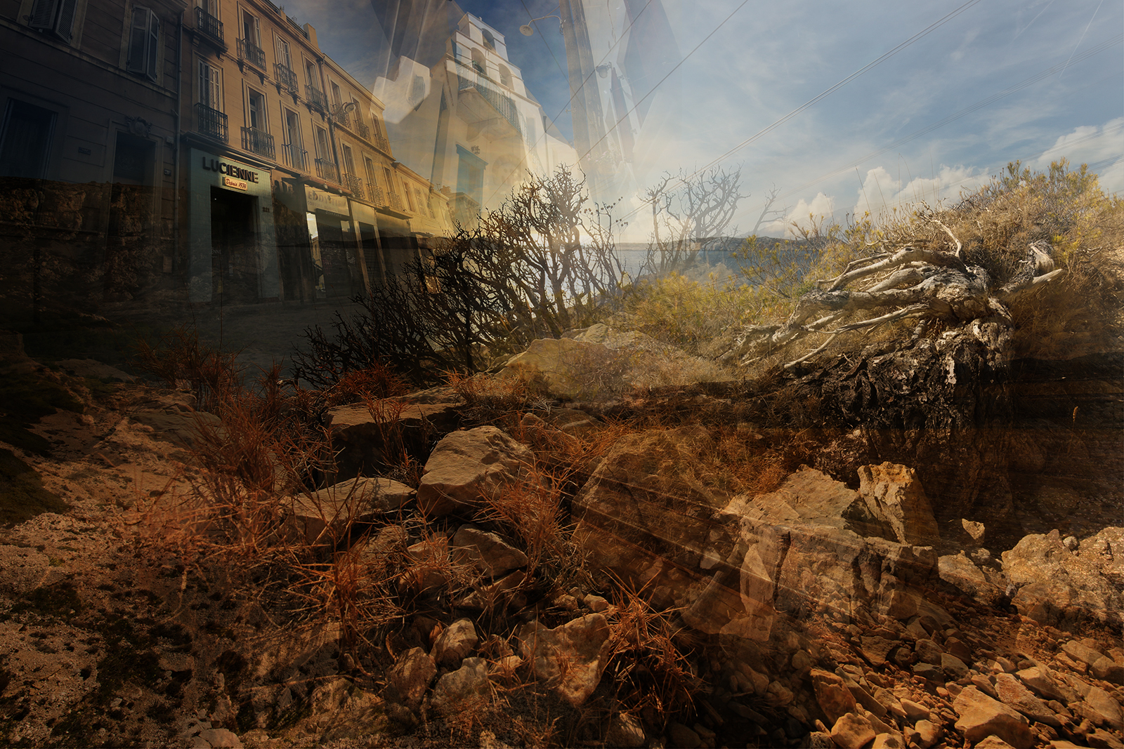 urban-artwork-1004162311.jpg