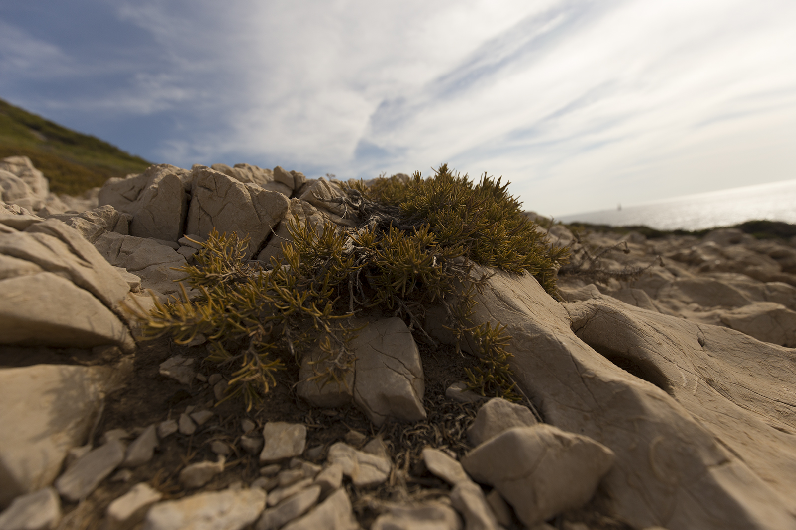 les-calanques-092016-111726-ld.jpg