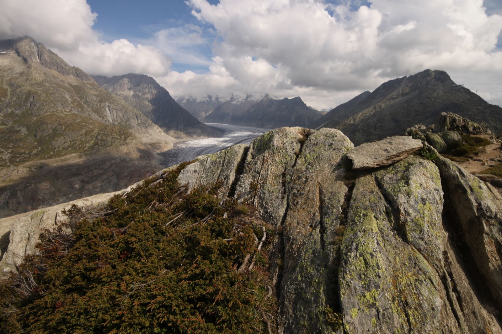 aletschgletscher-riederalp-ch-090314-115258.JPG