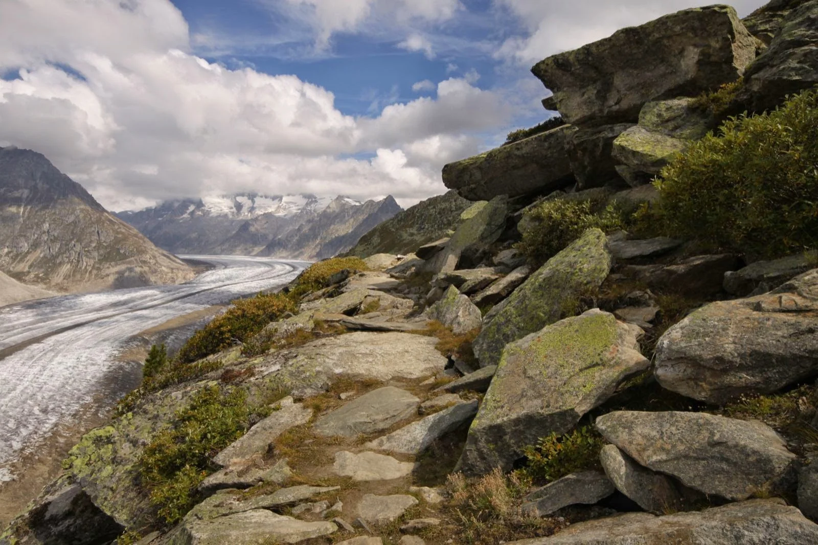 aletschgletscher-riederalp-ch-090314-123212.JPG