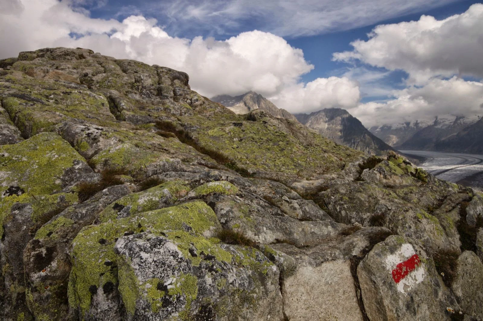 aletschgletscher-riederalp-ch-090314-115530.JPG