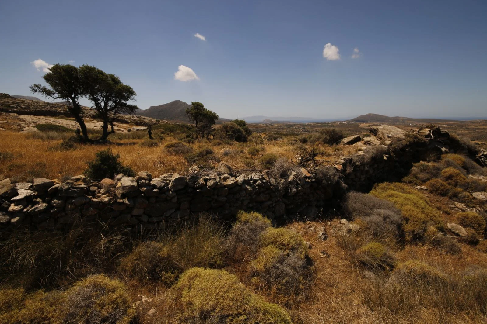 Νάξος-naxos-gr-061516-104611.JPG