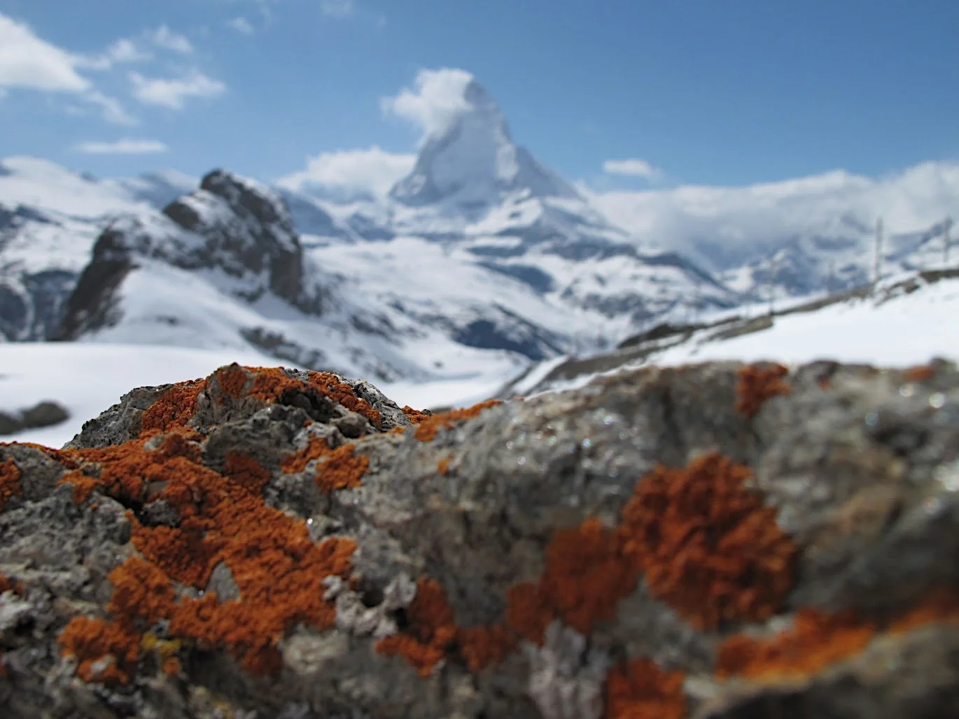 zermatt-matterhorn-gornergrad-ch-051710-n°159.JPG