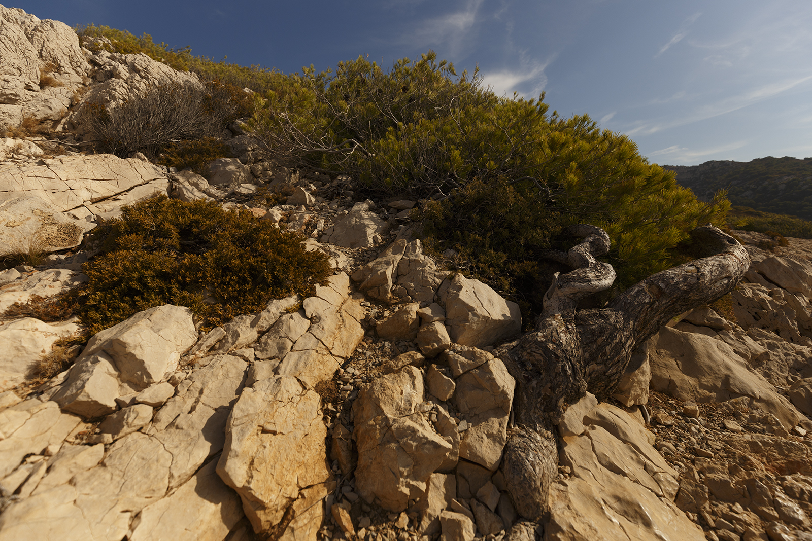 les-calanques-092016-104720-ld.jpg