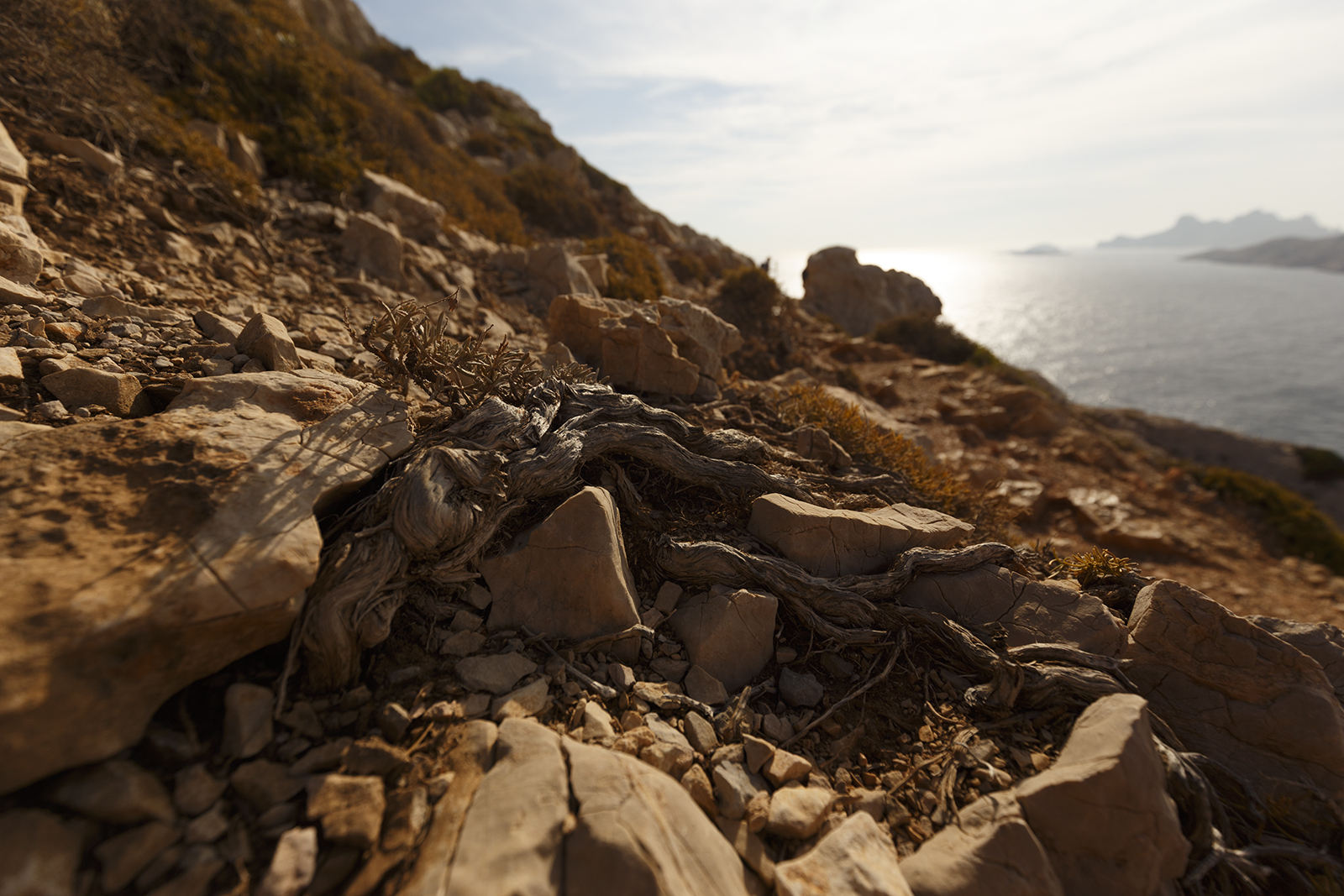 les-calanques-092016-104330-ld copy.jpg
