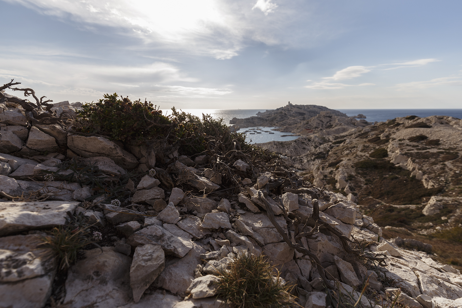 archipel-du-frioul-012017-153012-ld.jpg