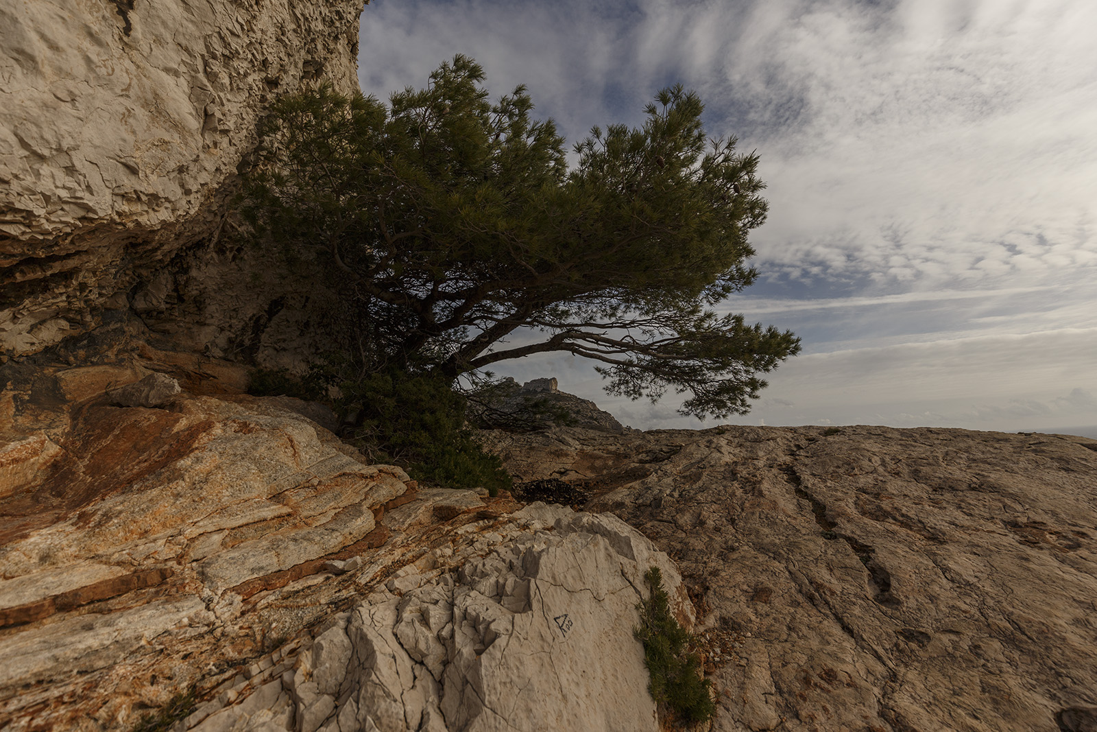 les-calanques-010918-123932-ld.jpg
