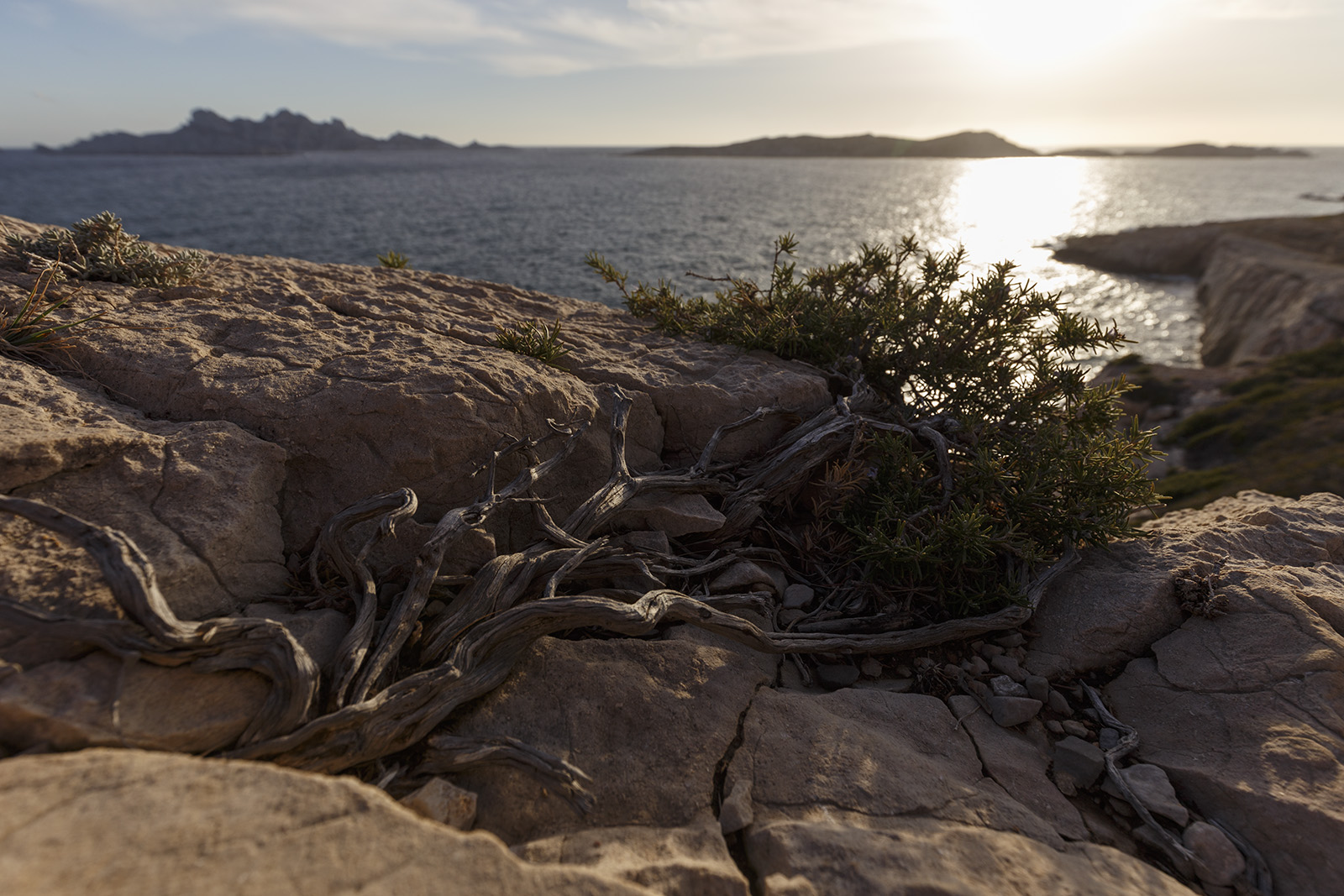 les-calanques-010918-151930-ld.jpg