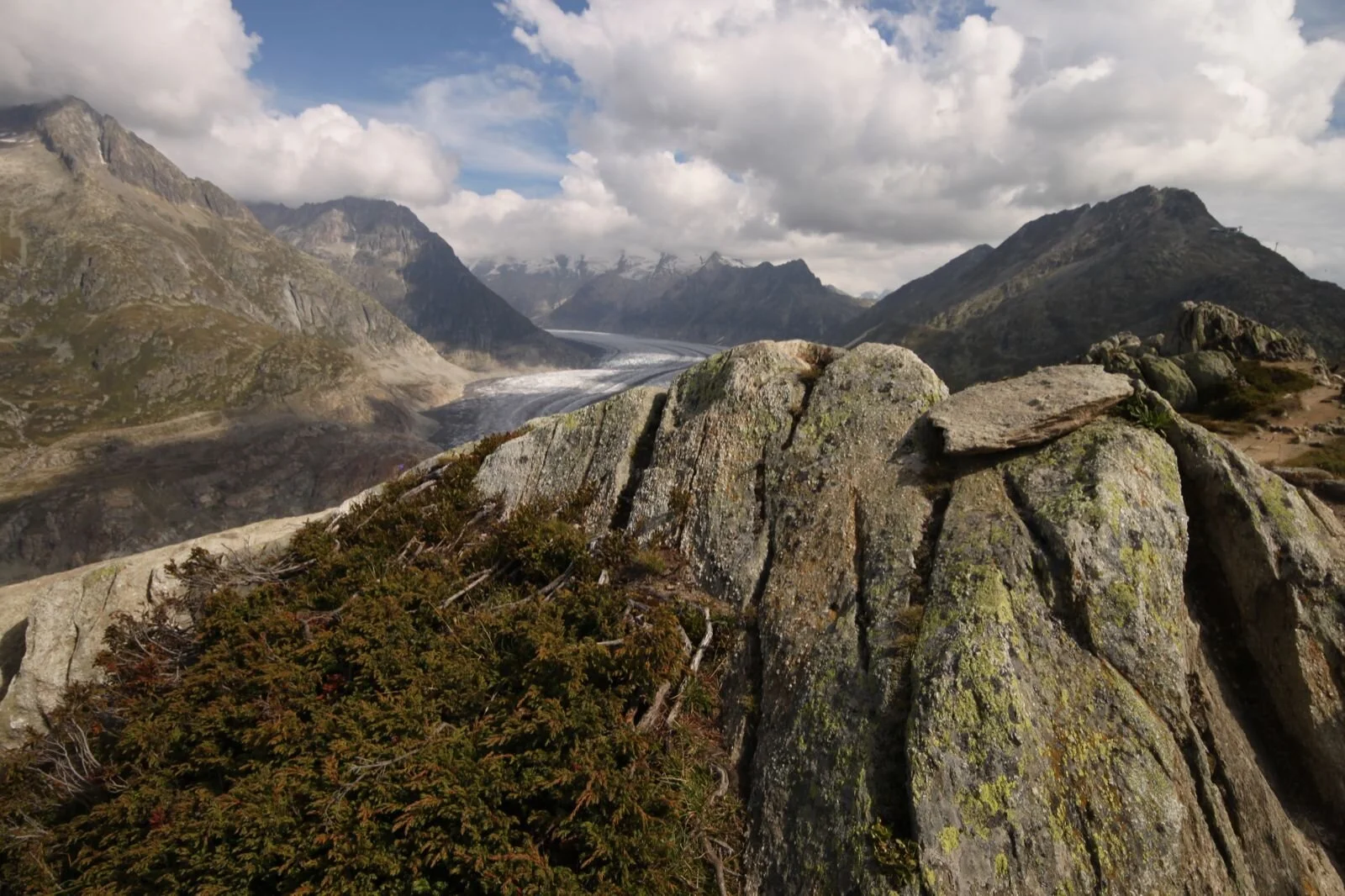 aletschgletscher-riederalp-ch-090314-115258.JPG